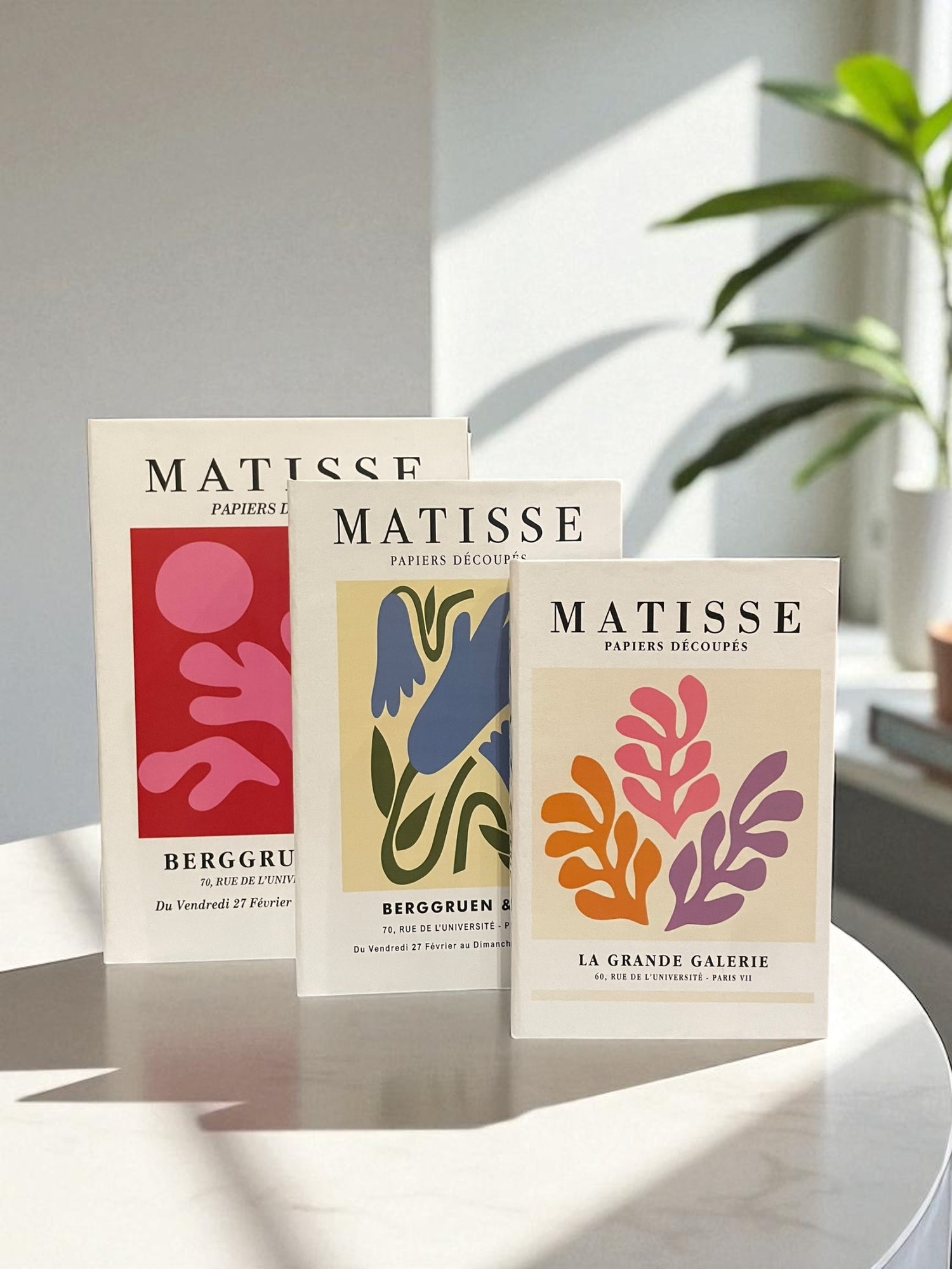 Vibrant Splash Set Fake Books