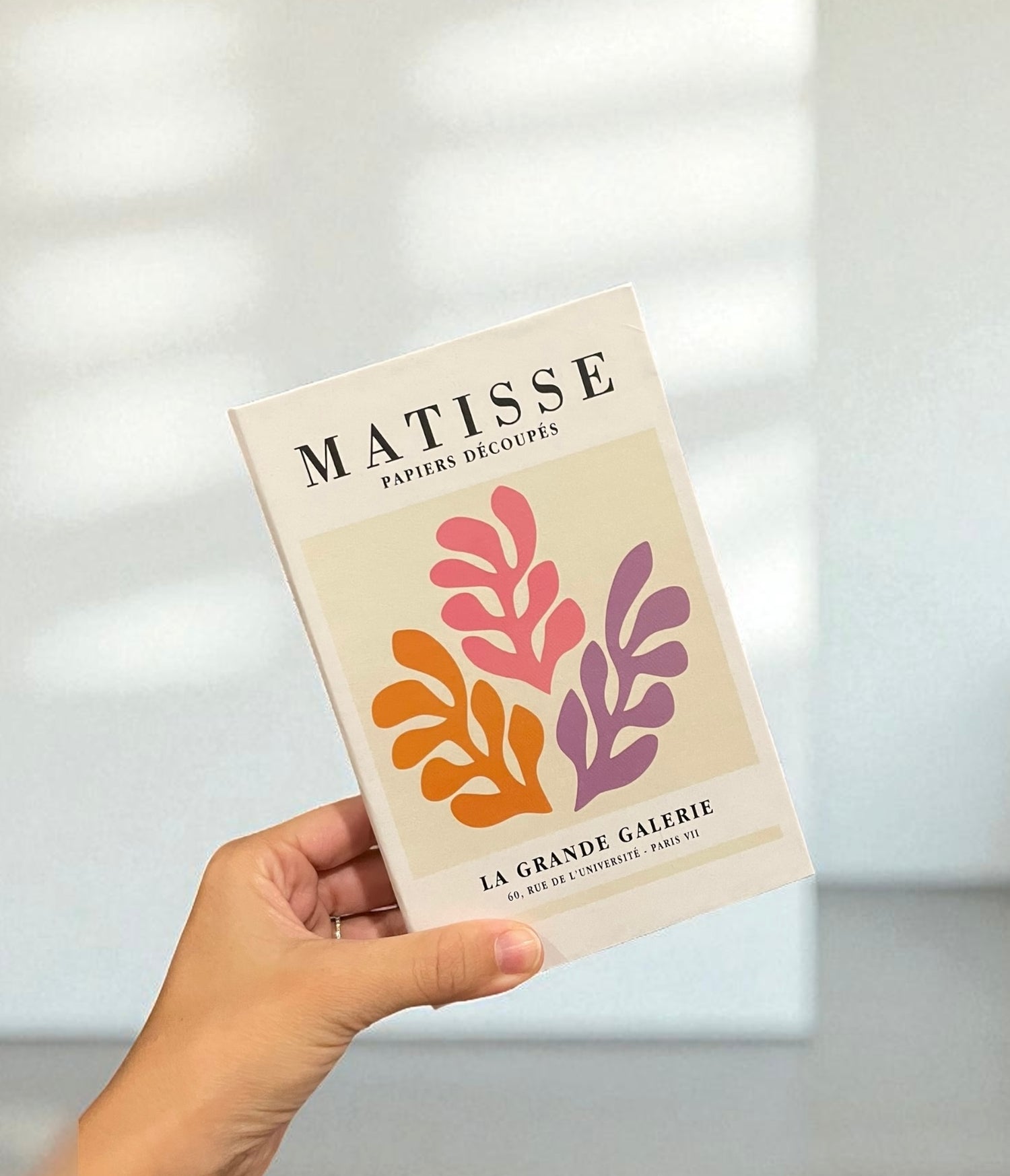 La Vida Springs FAKE Book