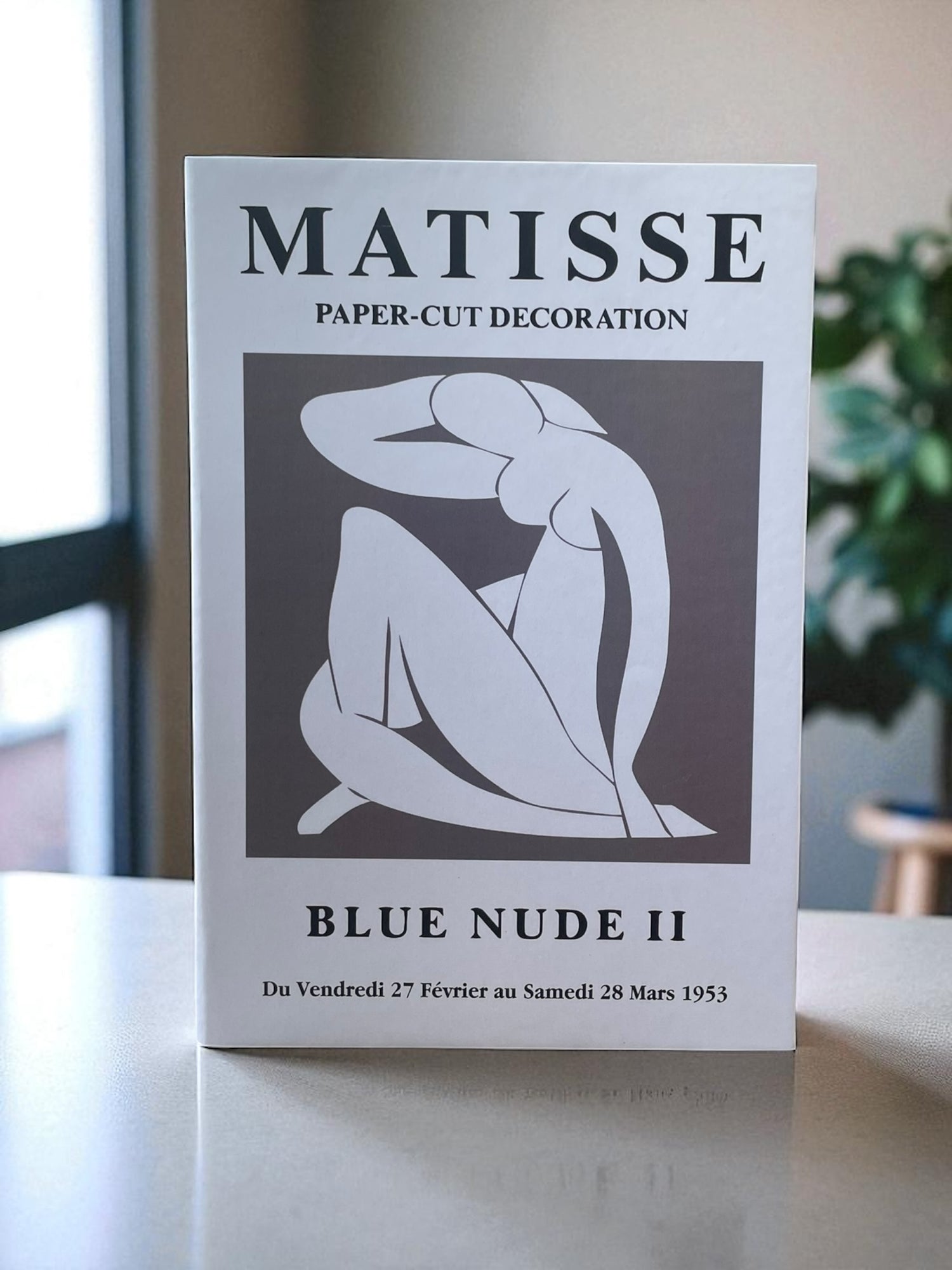 Large Bare FAKE Book