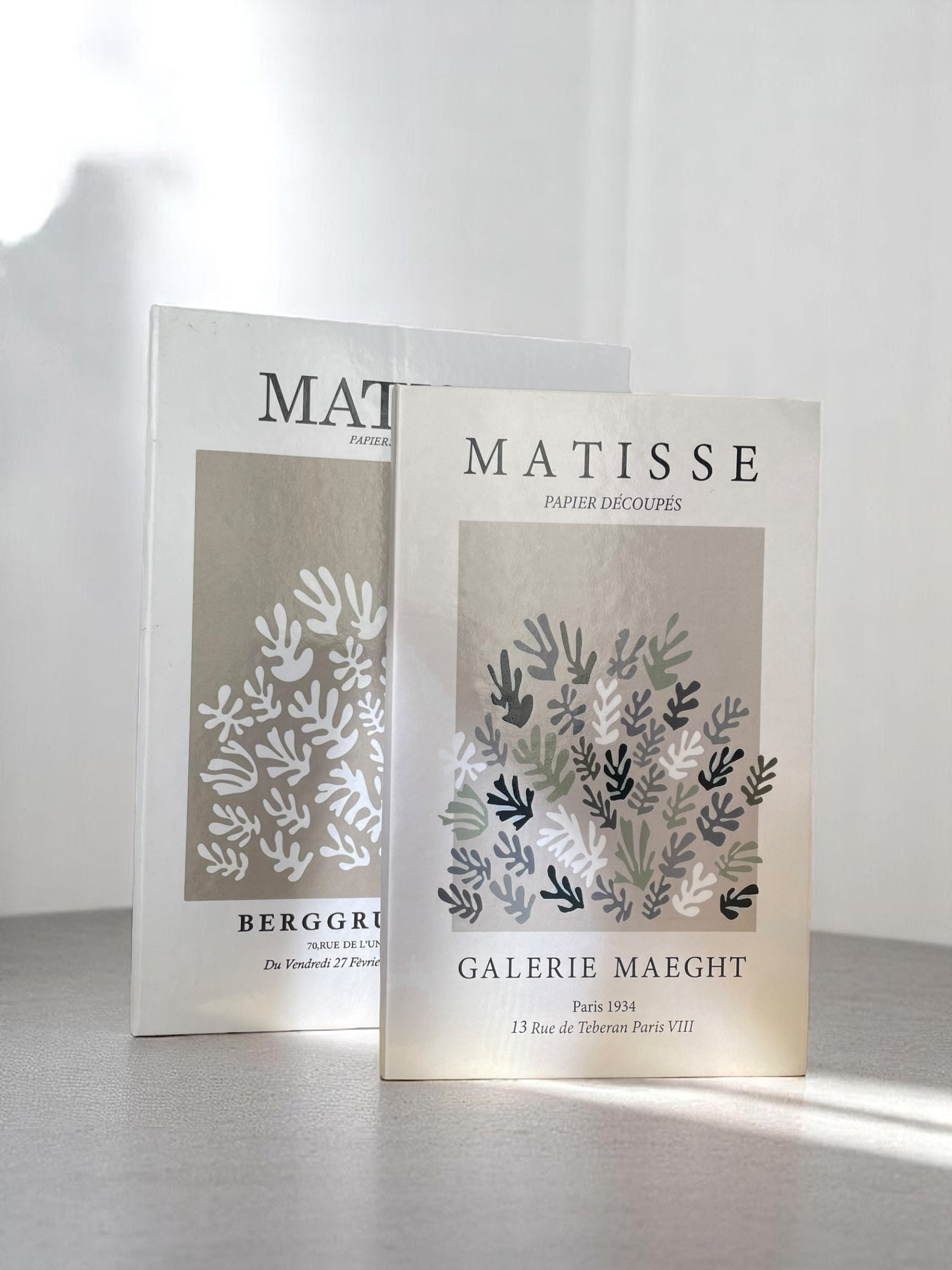 Matisse Duo Fake Books