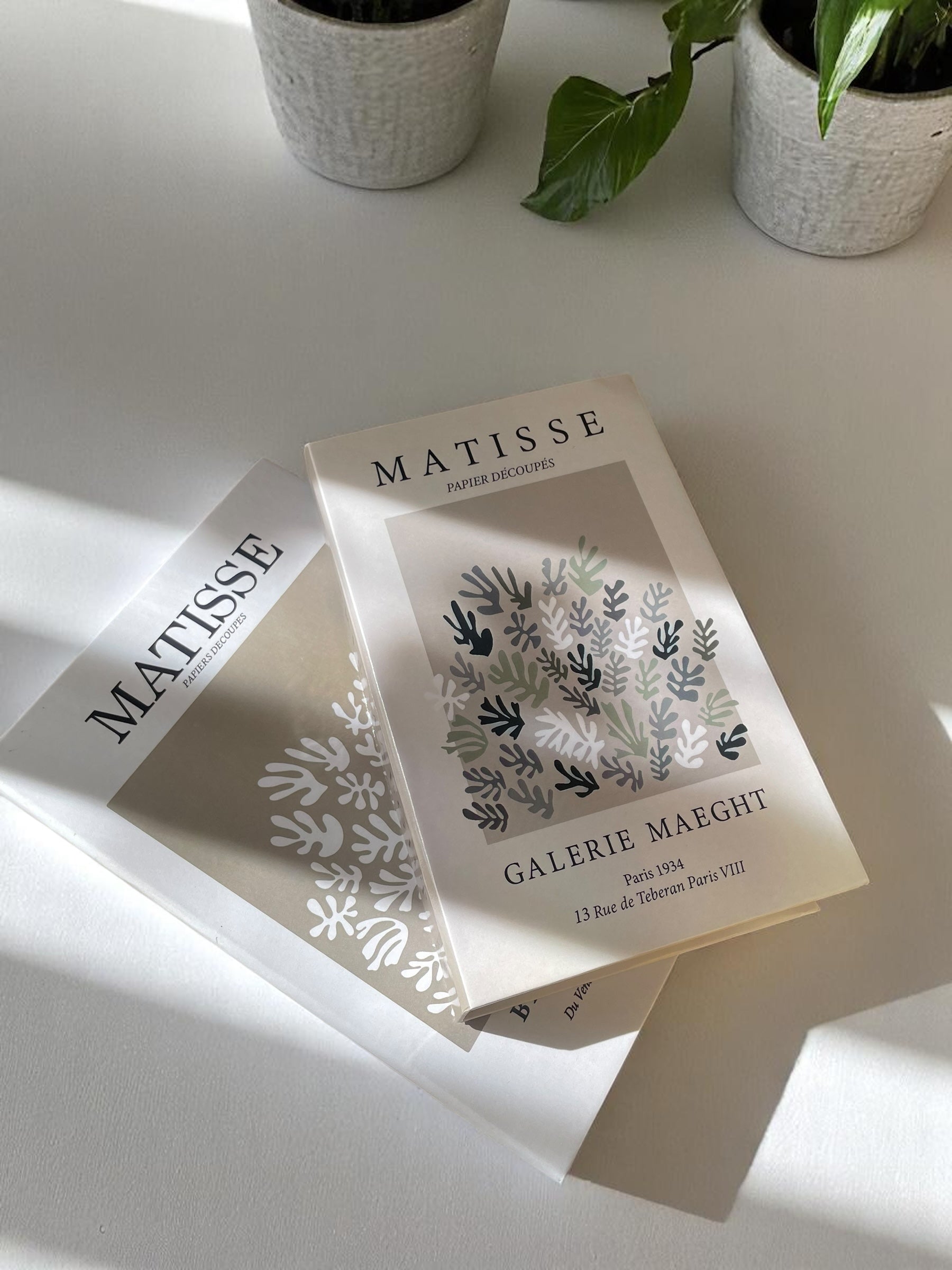 Matisse Duo Fake Books