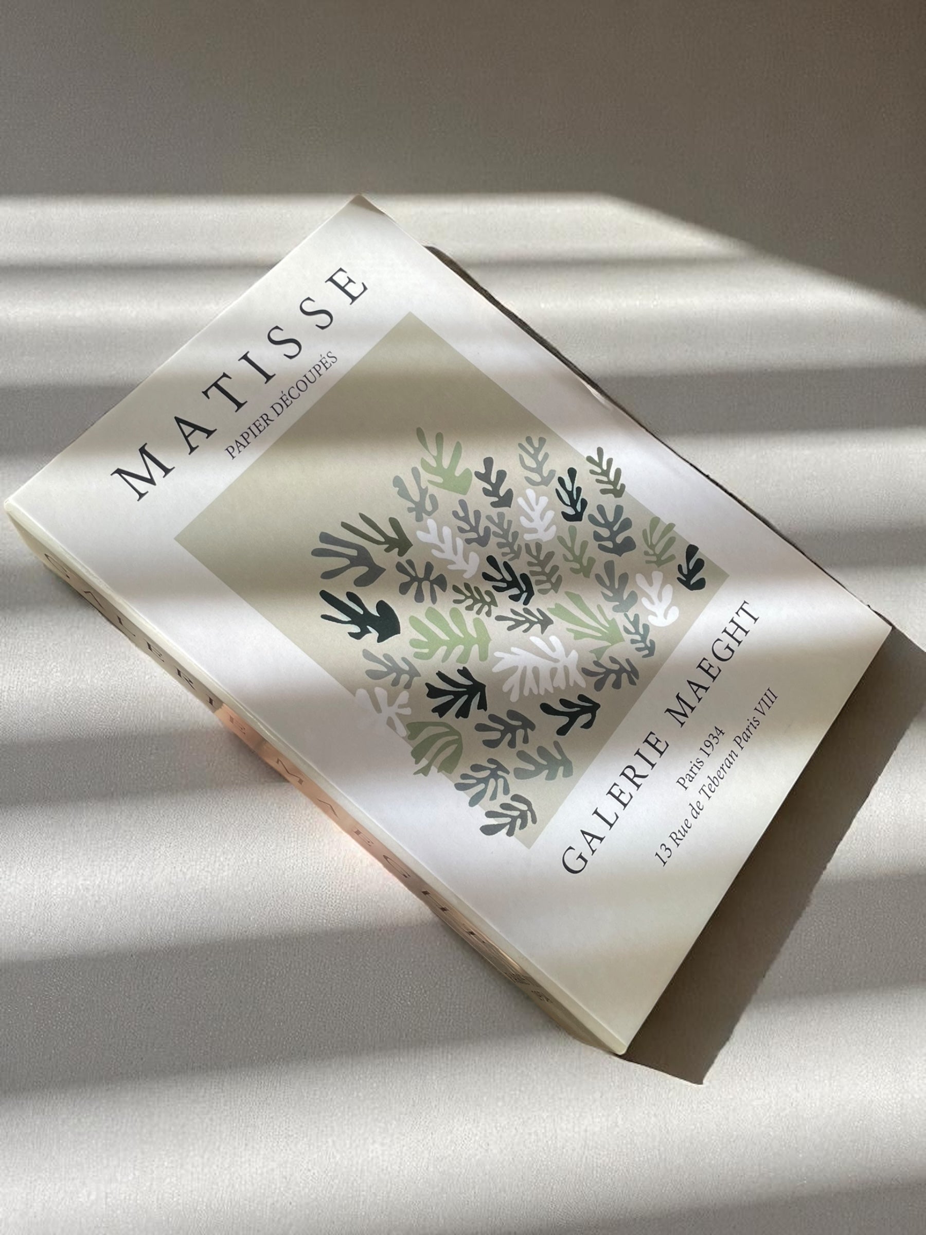 Matisse Neutral Fake Book