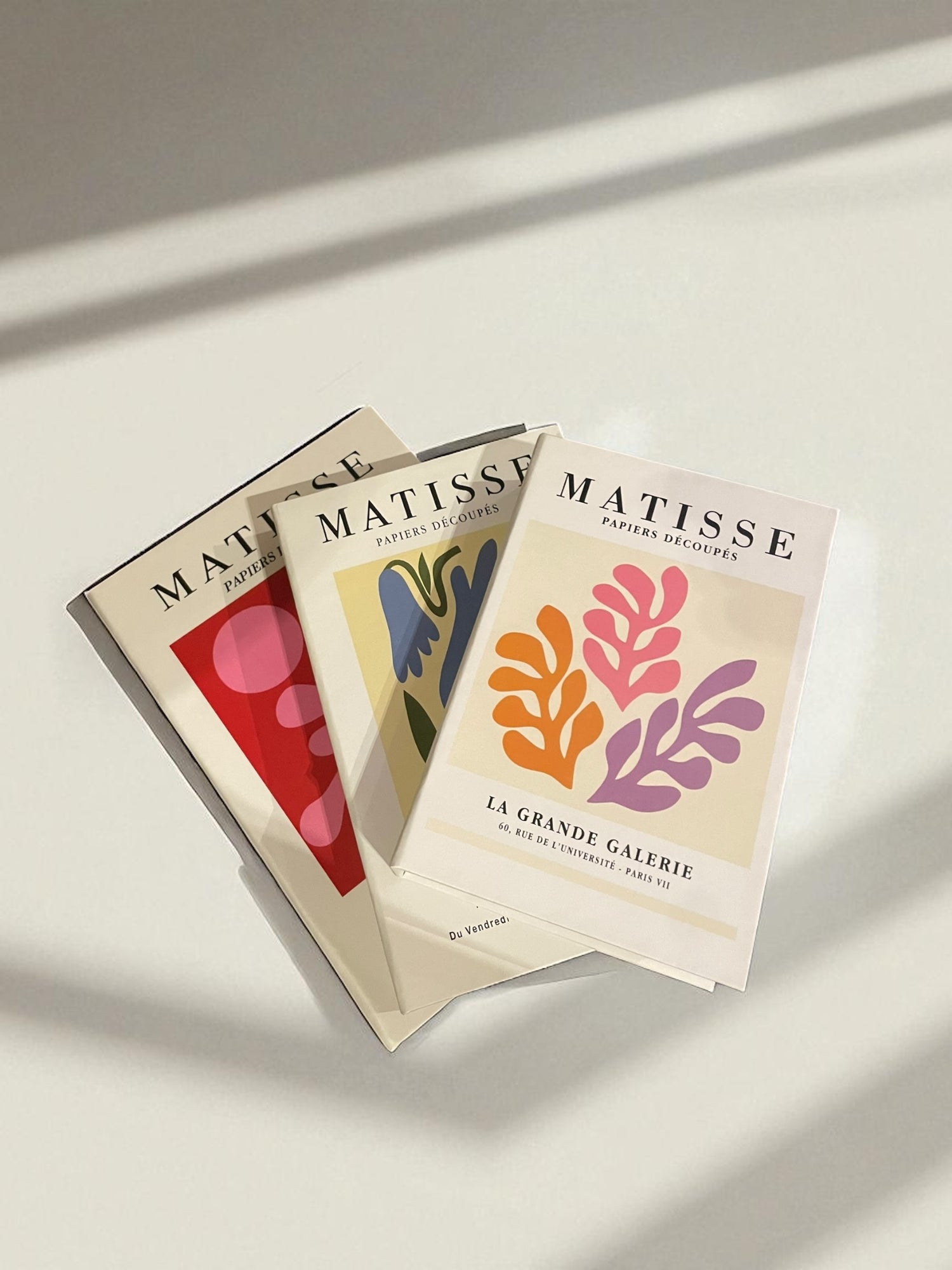 Vibrant Splash Set Fake Books