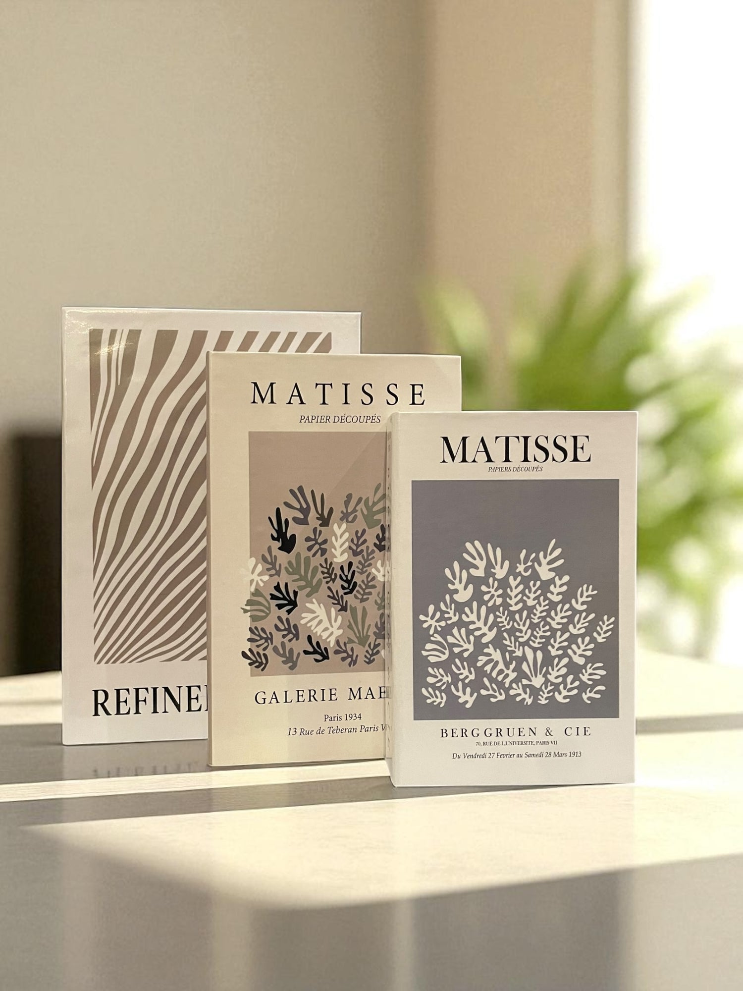 Earthy Neutral Fake Books Set