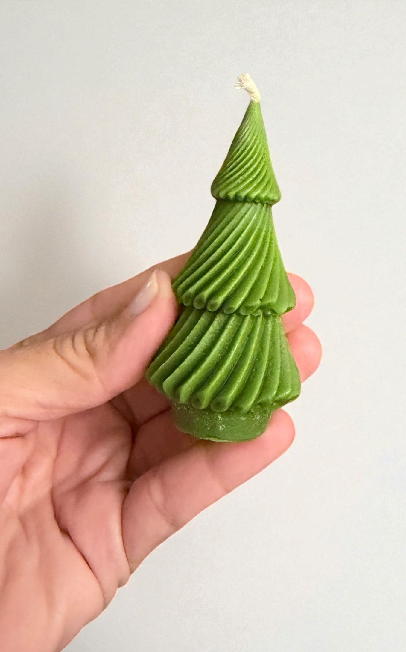 Enchanted Christmas Eve Collection