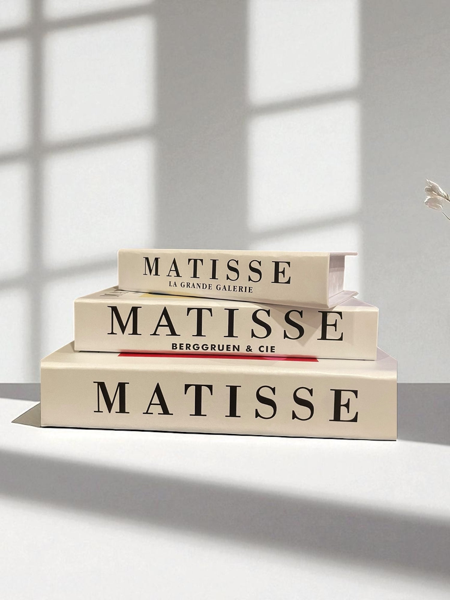 Vibrant Splash Set Fake Books