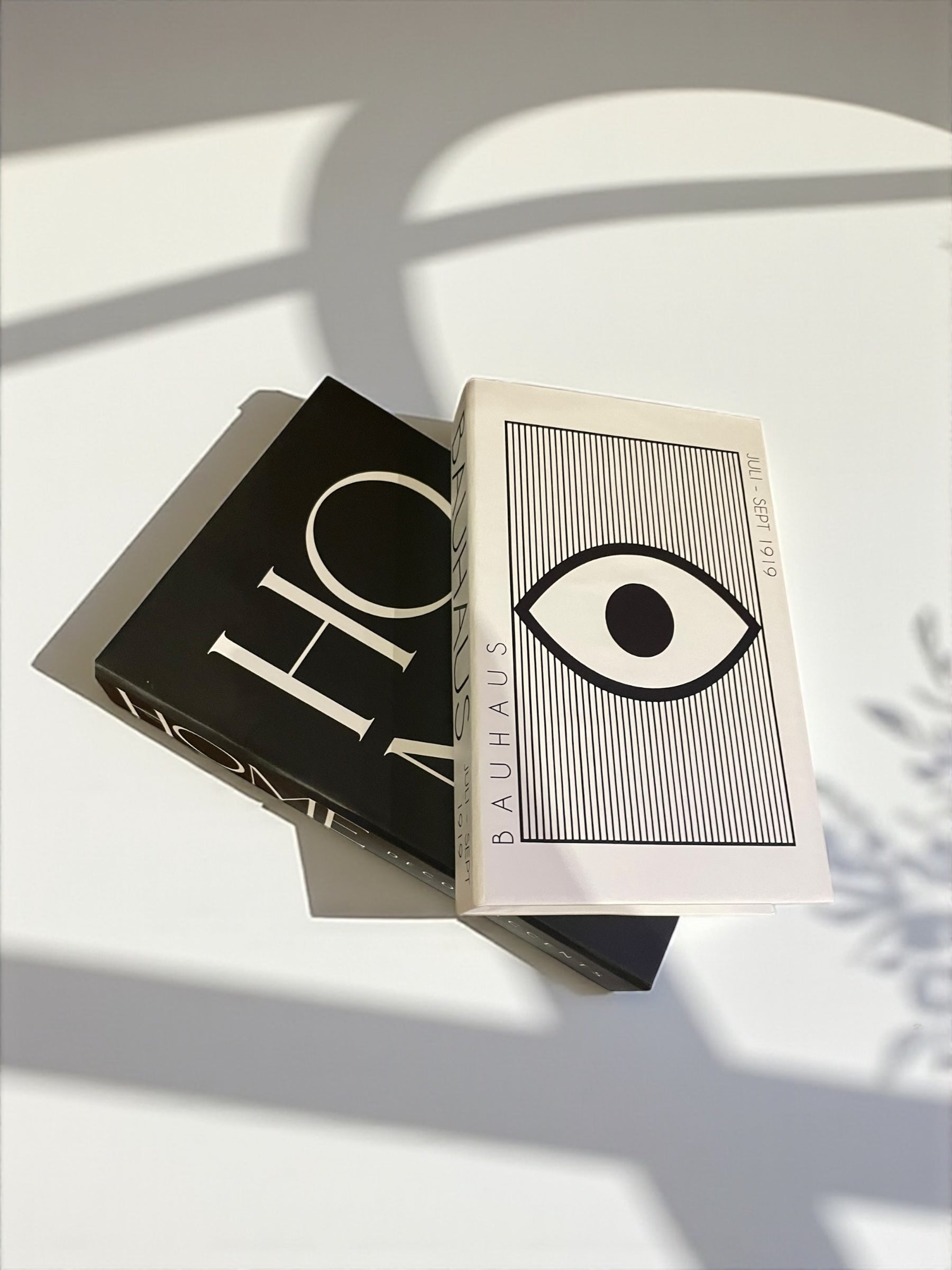 Monochrome Reflections FAKE Books