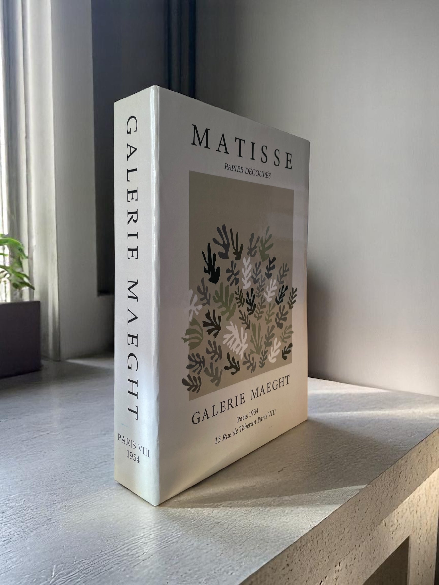 Matisse Neutral Fake Book