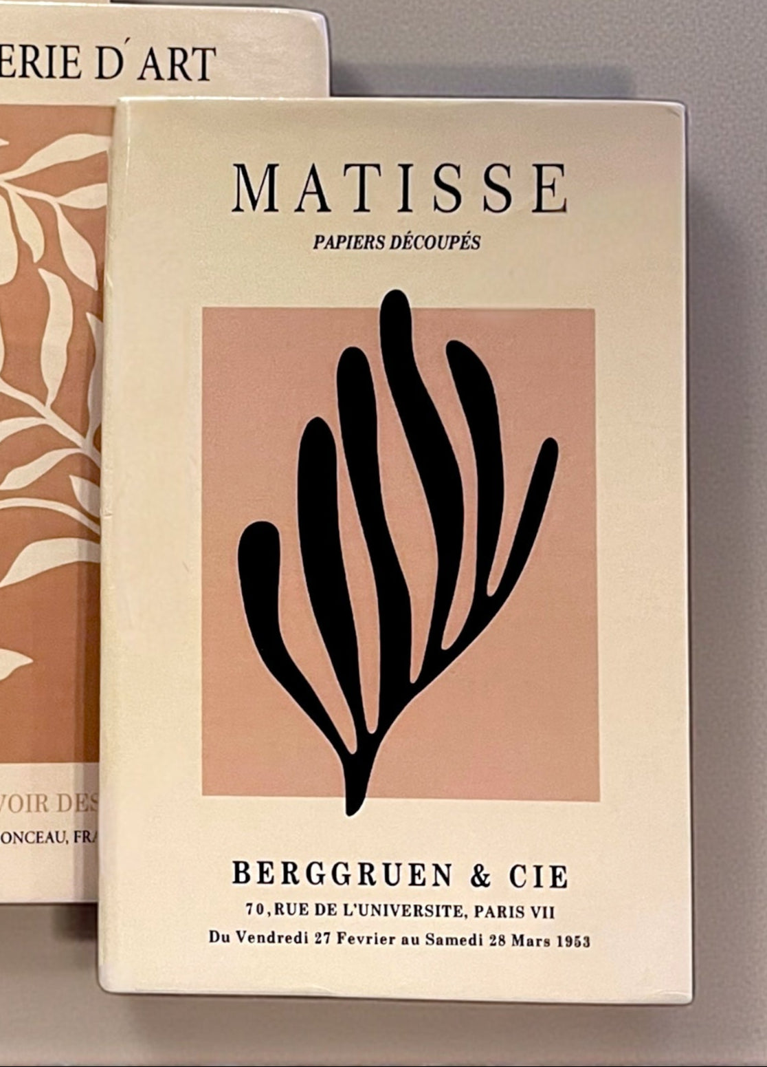 Matise Leafless FAKE Book