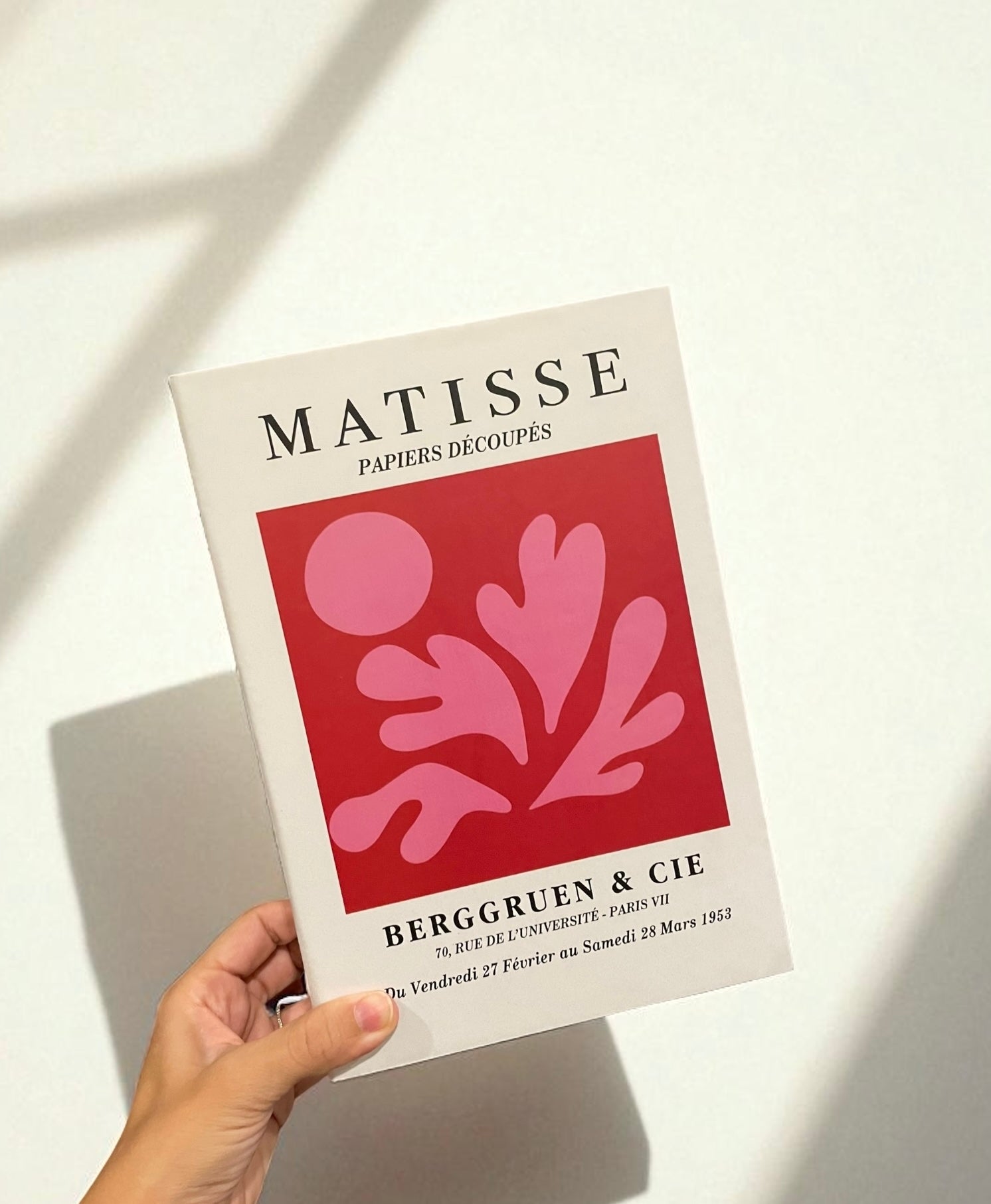 Vibrant Splash Set Fake Books