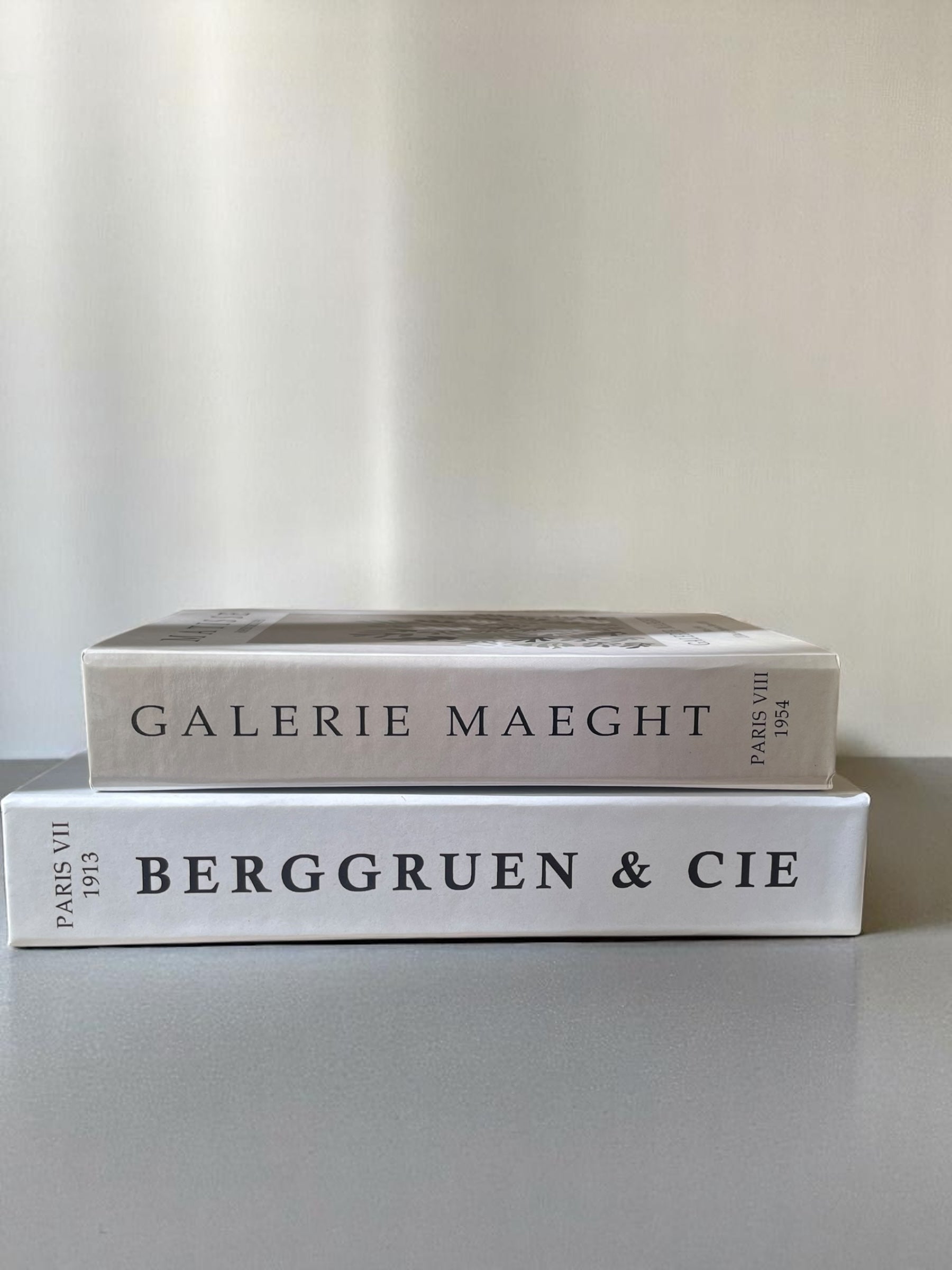 Matisse Duo Fake Books