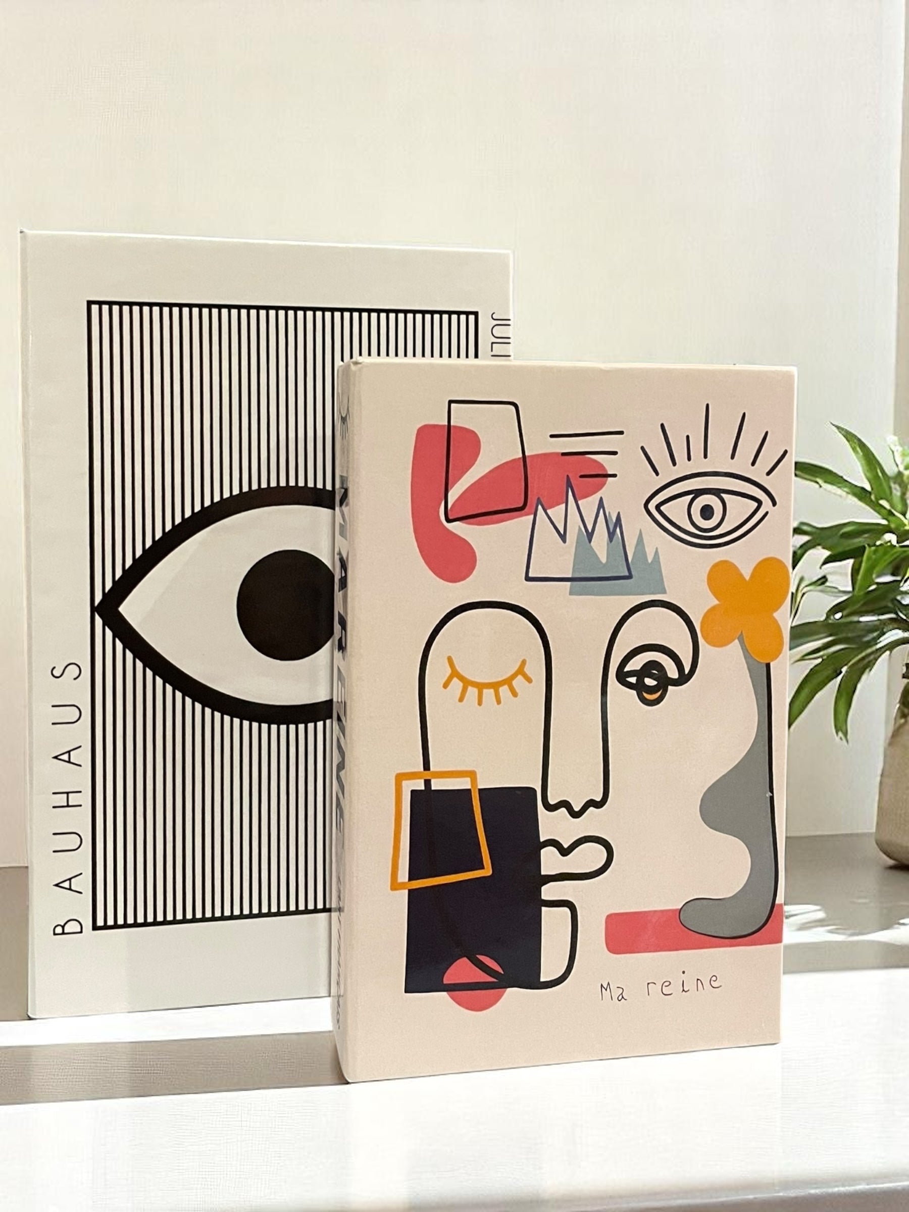 Enigmatic Gaze Faux Books