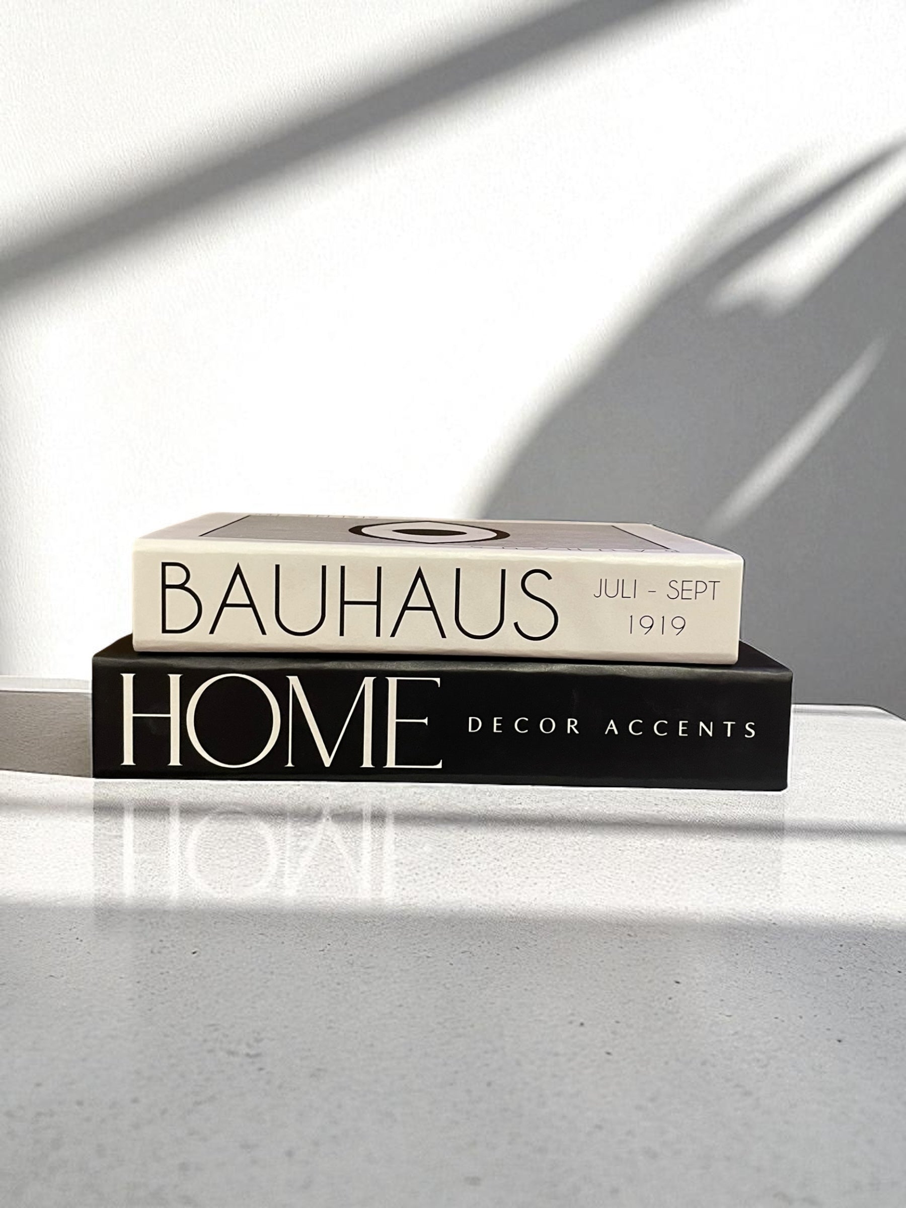 Monochrome Reflections FAKE Books