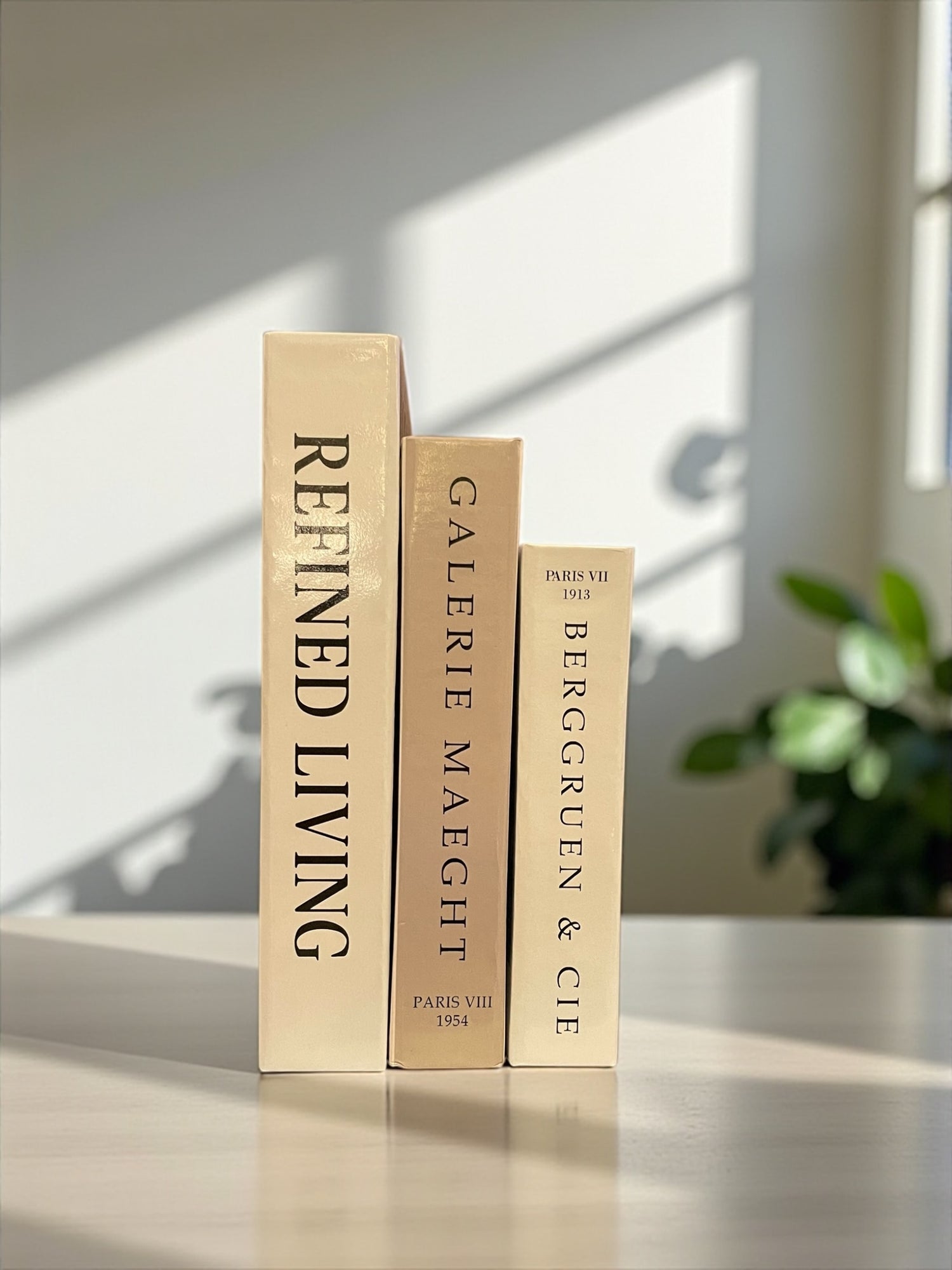 Earthy Neutral Fake Books Set