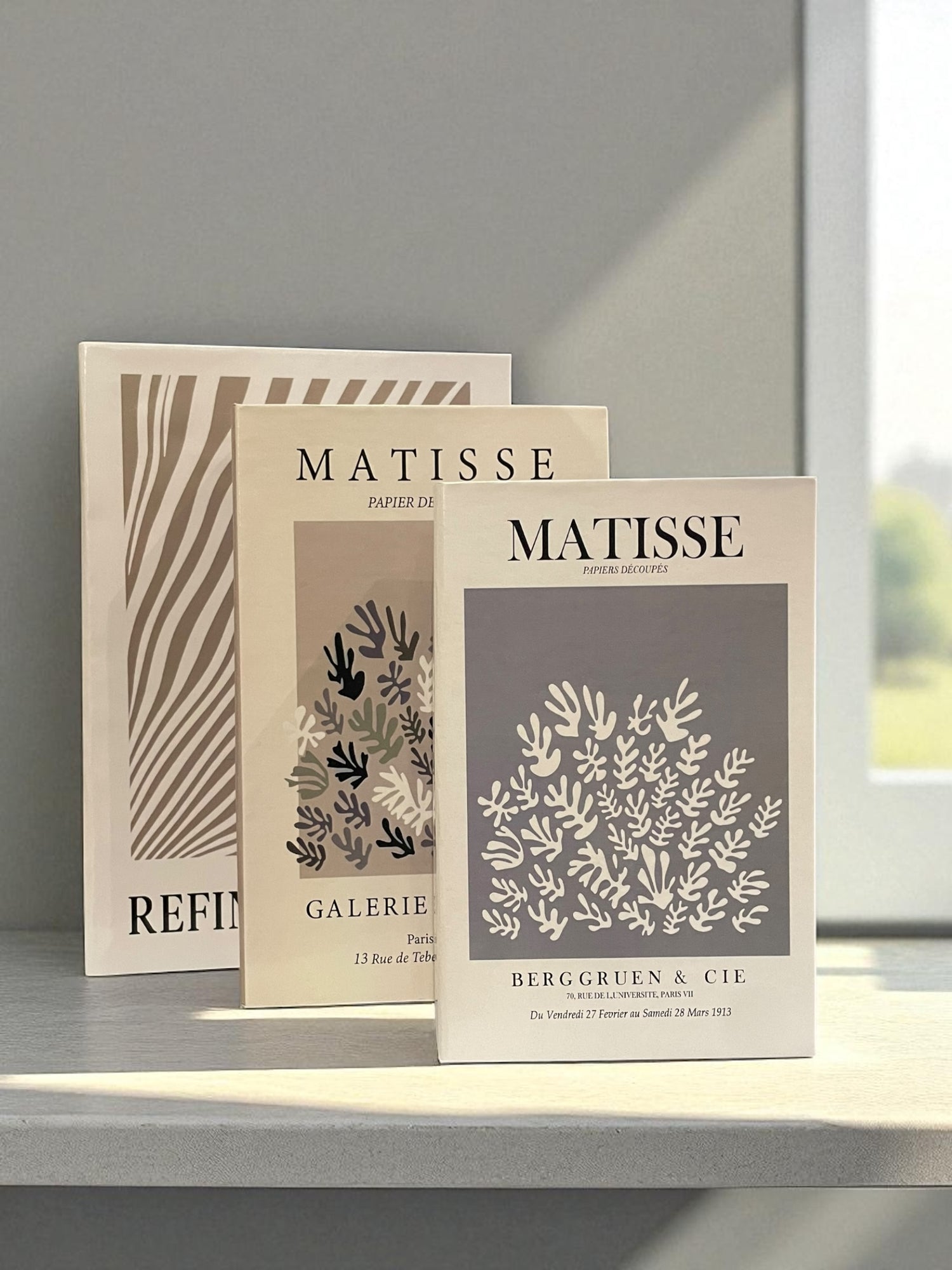 Earthy Neutral Fake Books Set