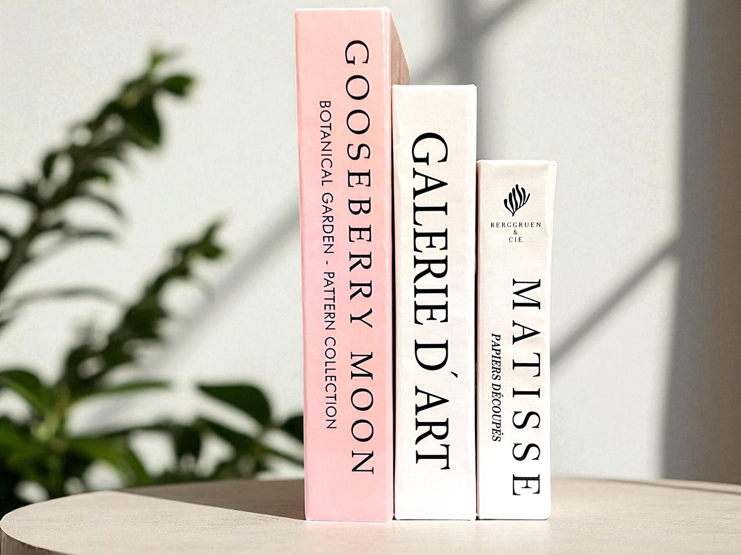 Lasting Impressions Set Fake Books