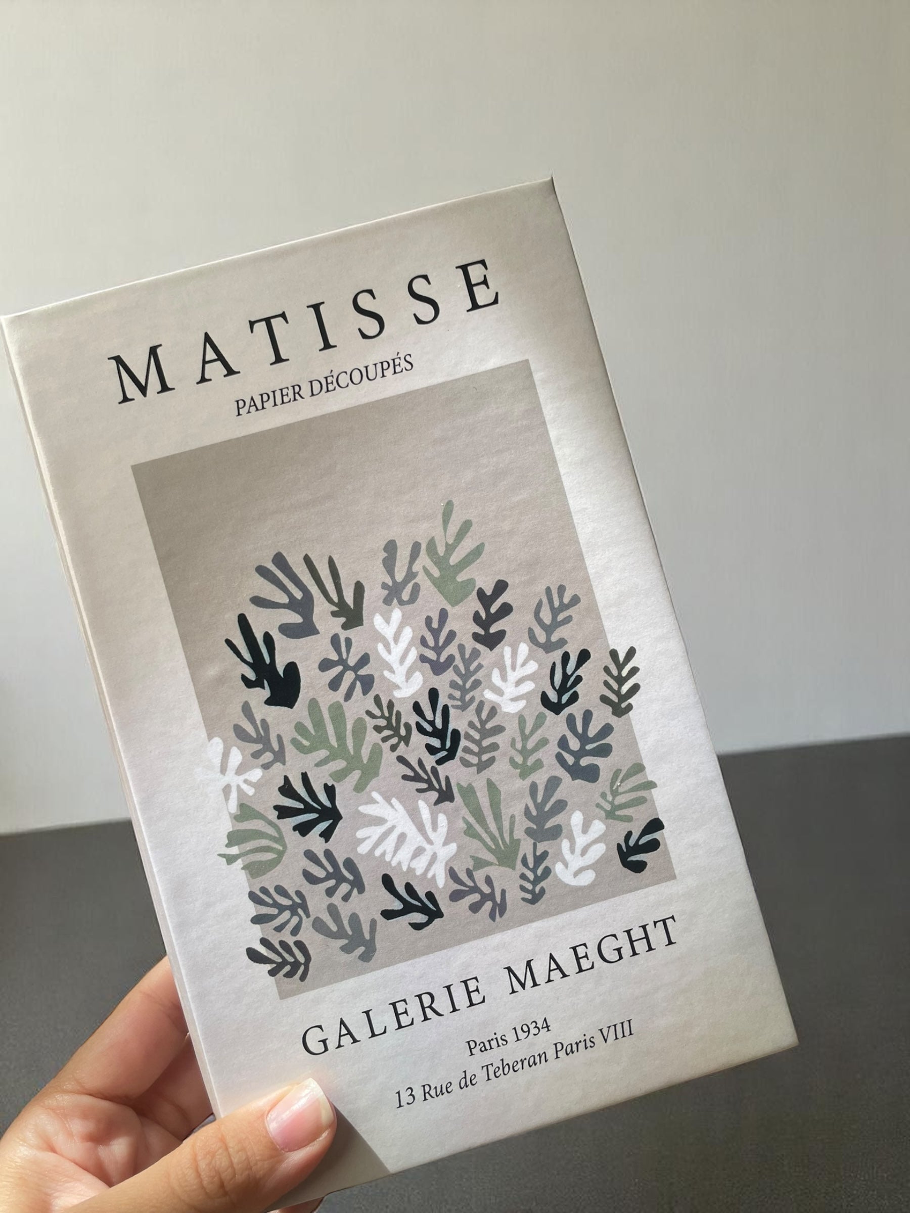 Matisse Neutral Fake Book