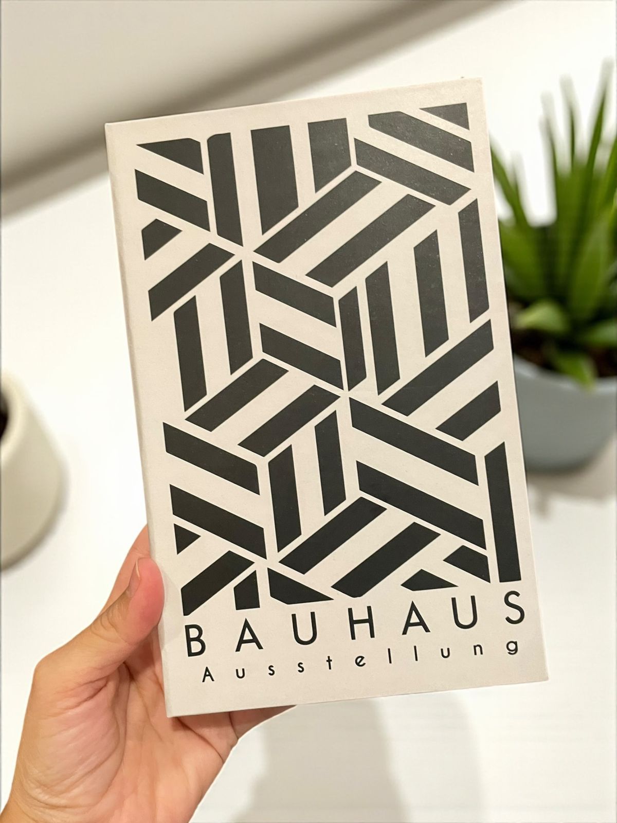 Bauhaus Maze FAKE Book