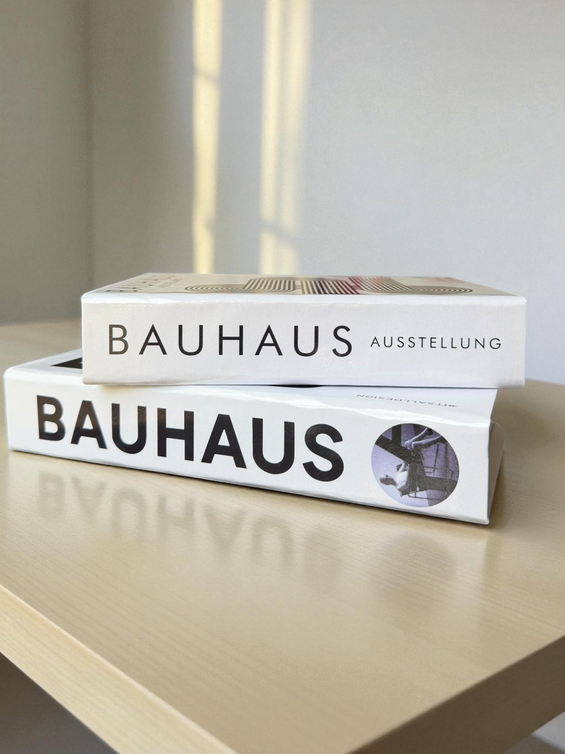 Timeless Modernism Duo Faux Books