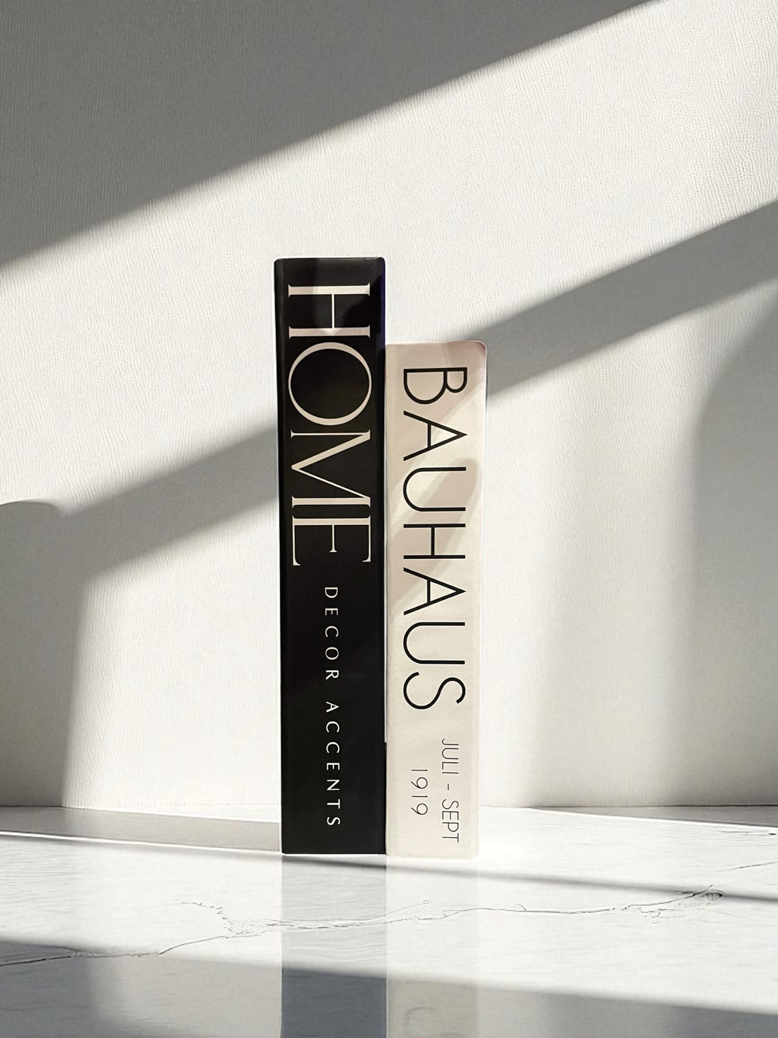 Monochrome Reflections FAKE Books