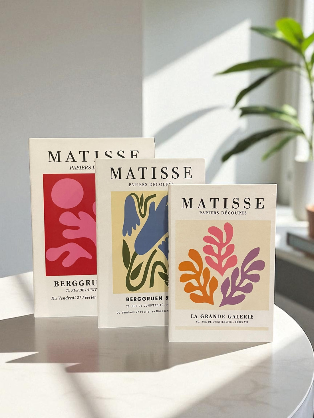 Vibrant Splash Set Fake Books