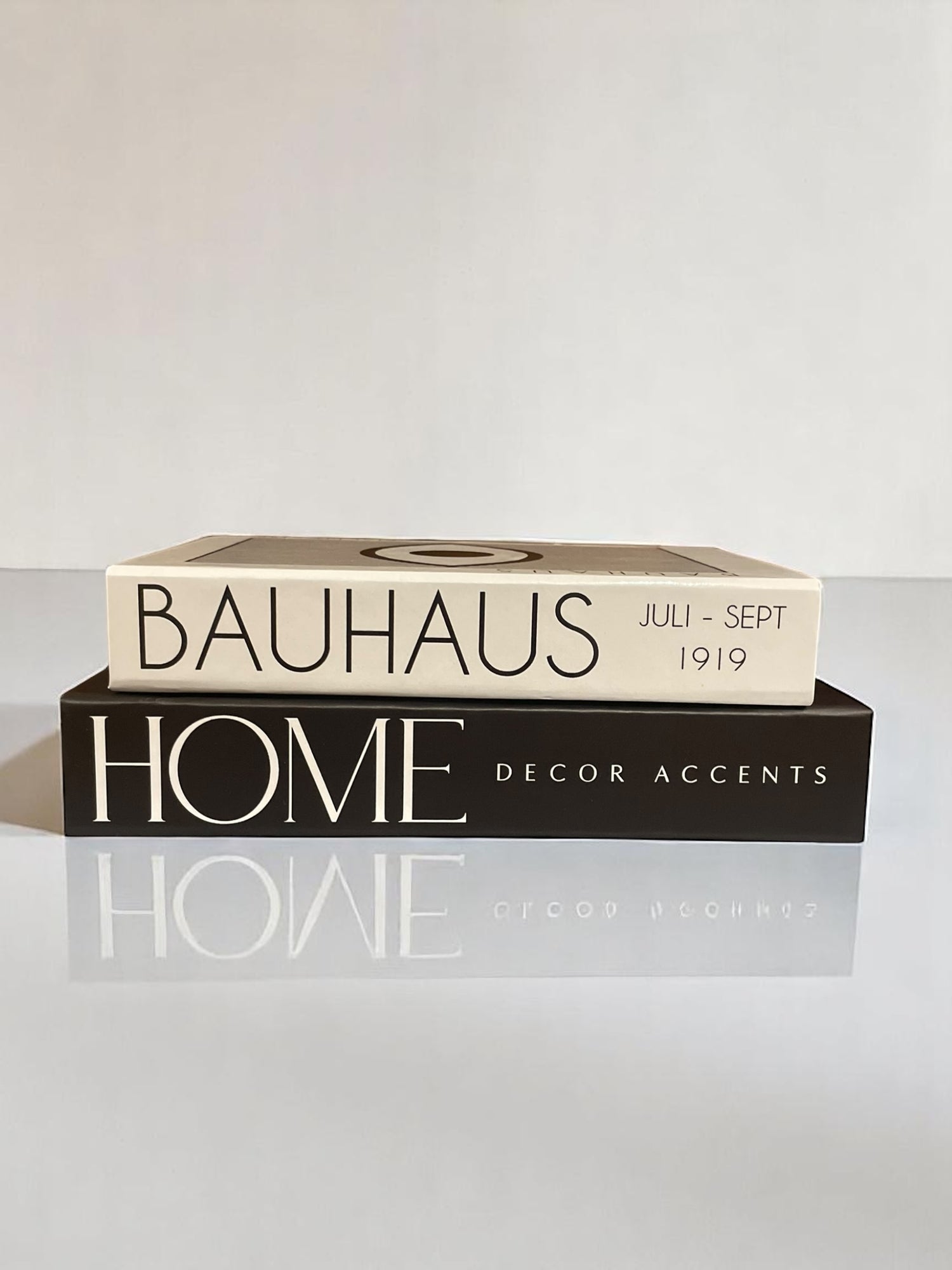 Monochrome Reflections Faux Books