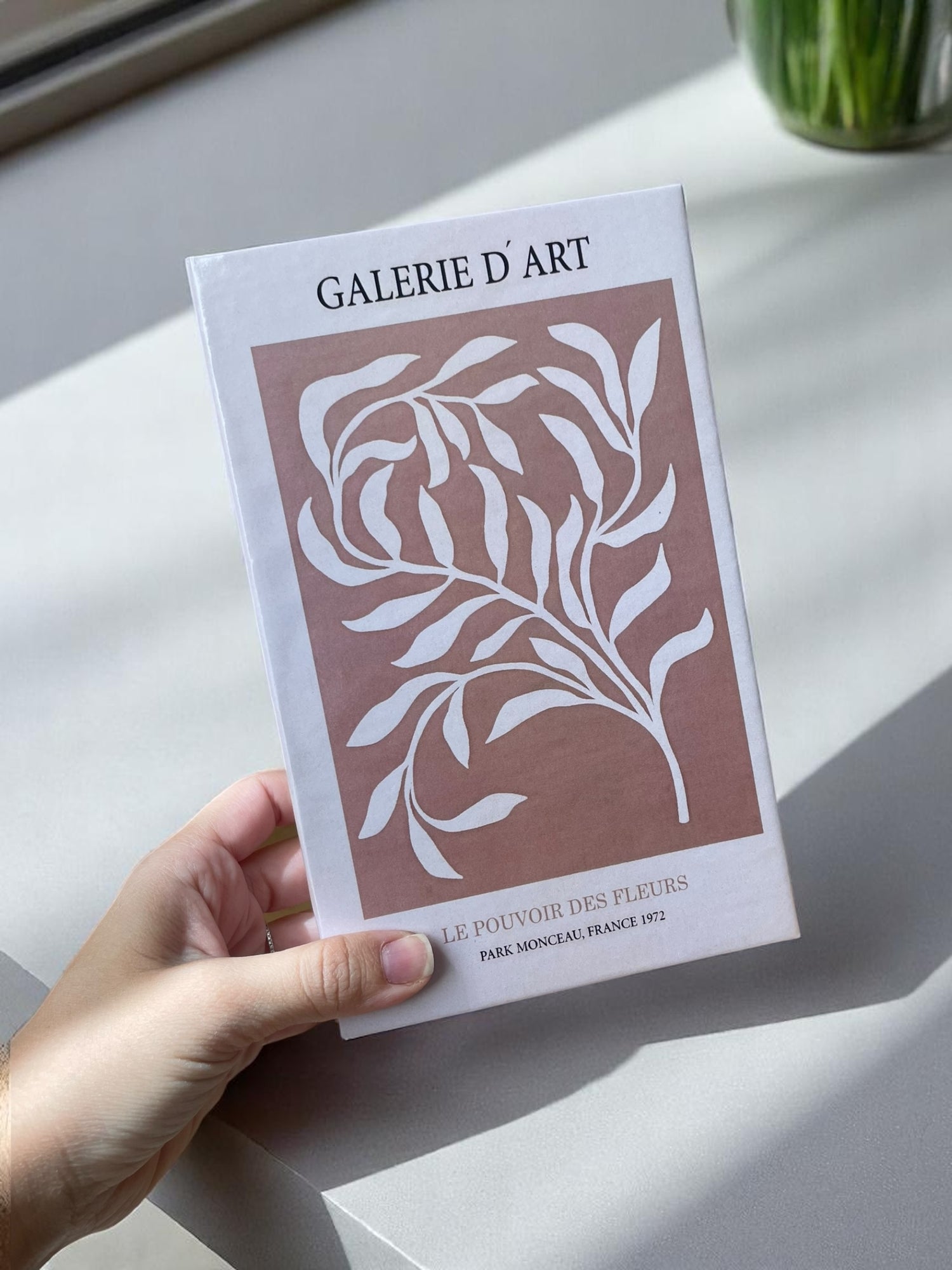 Galerie D’art Fake Book