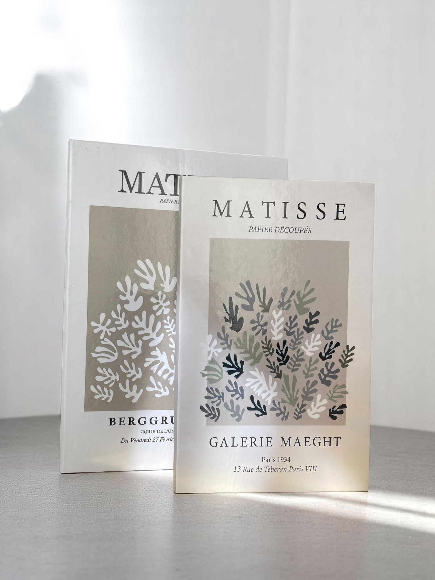 Matisse Duo Fake Books