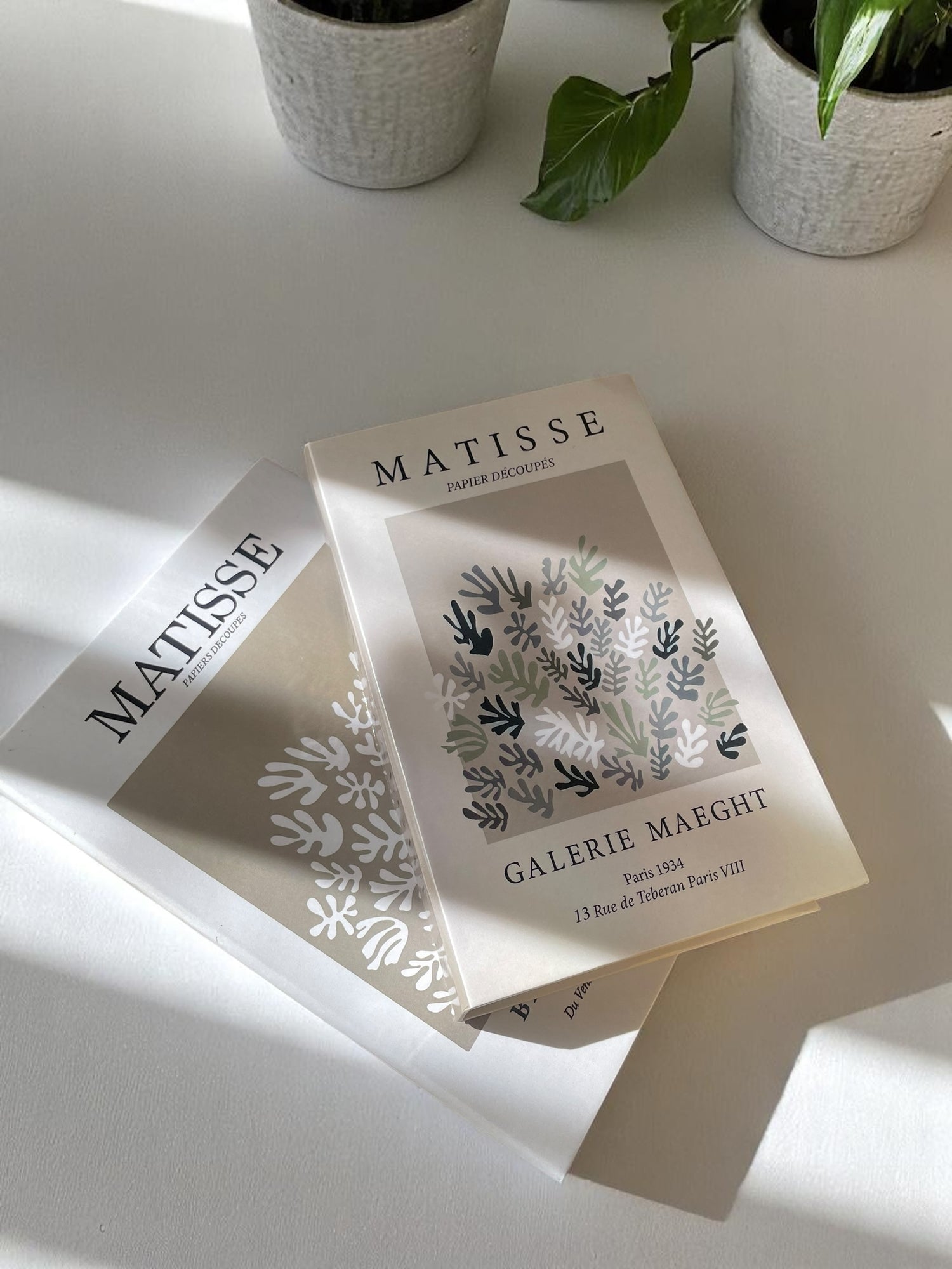 Matisse Duo Fake Books