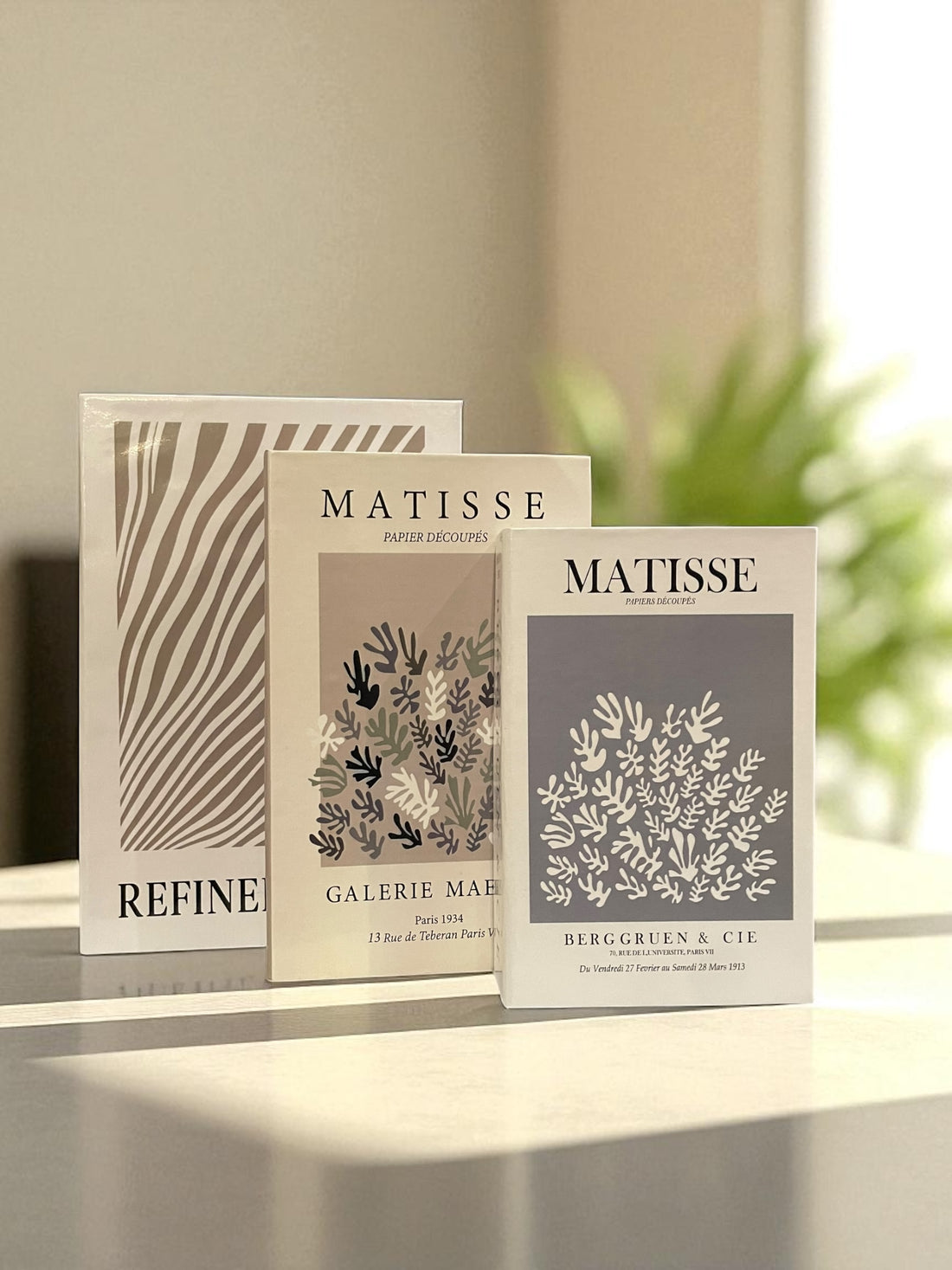 Earthy Neutral Fake Books Set