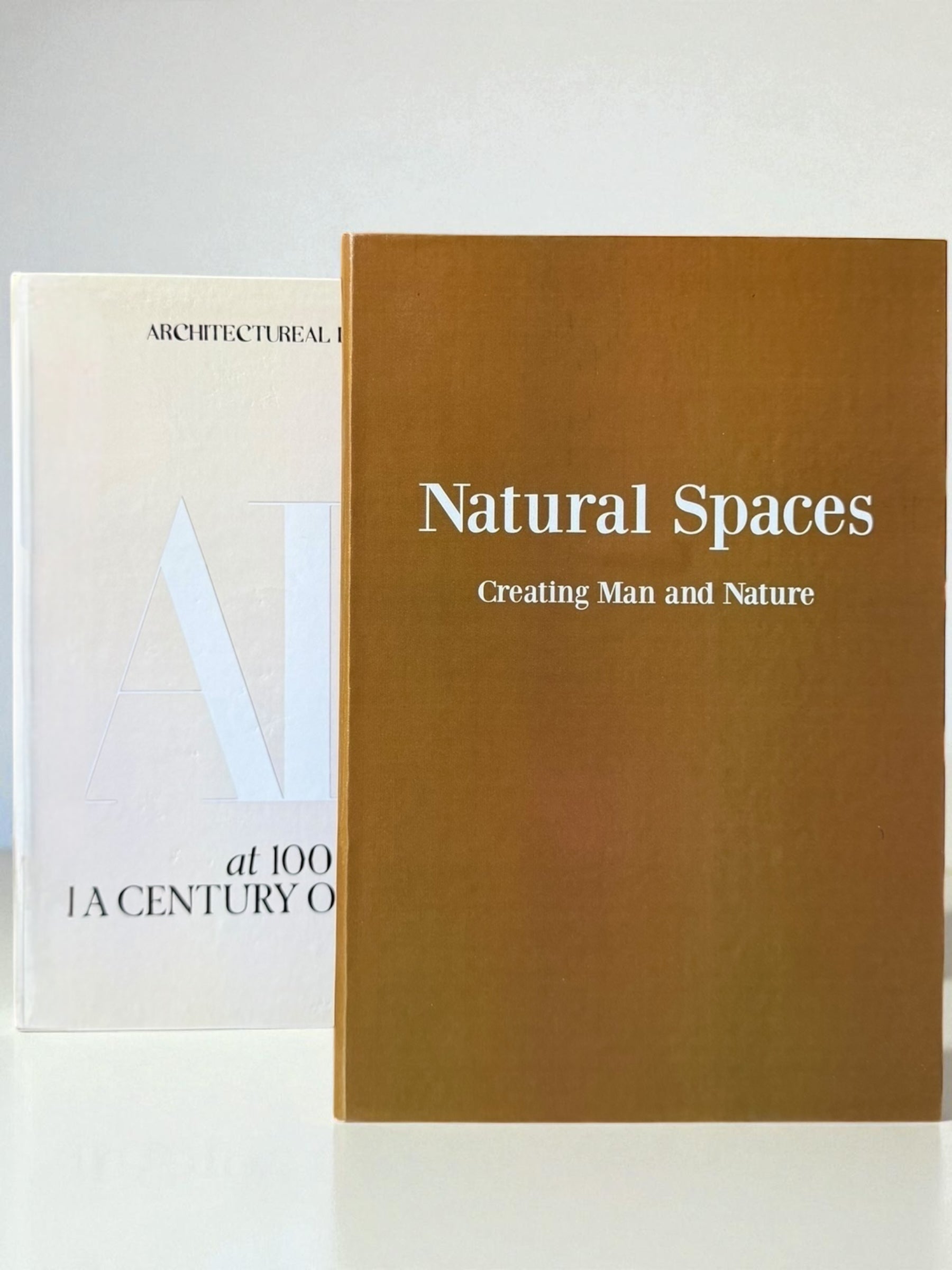 Large Timeless Decorative Fake Book