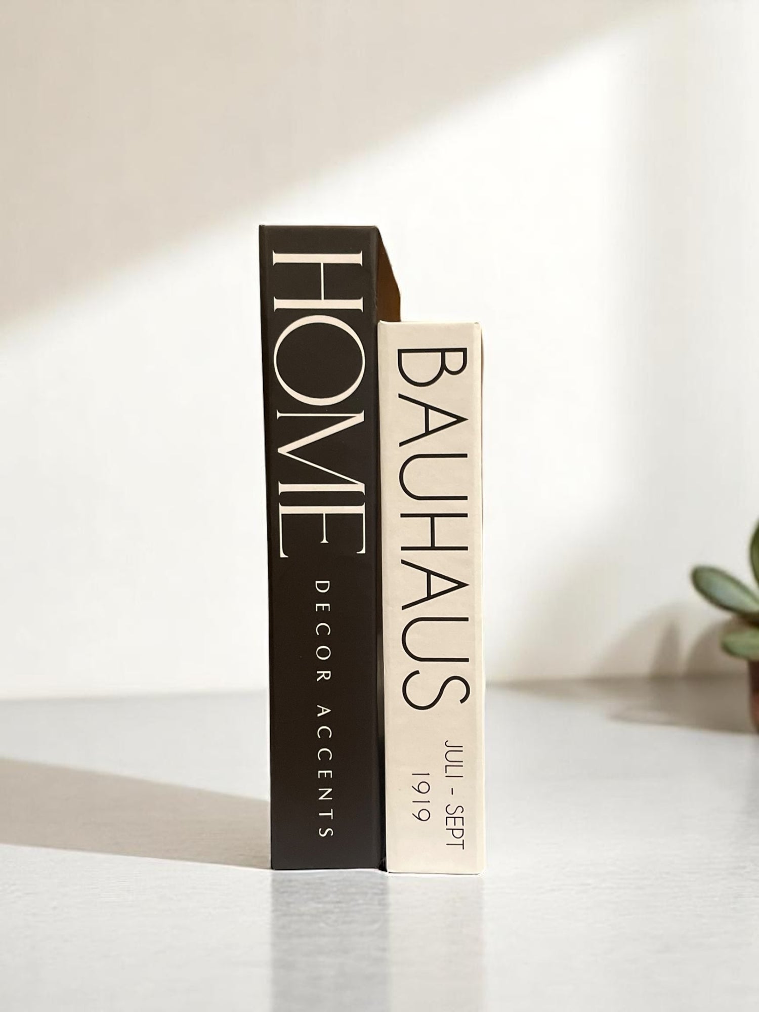 Monochrome Reflections Faux Books