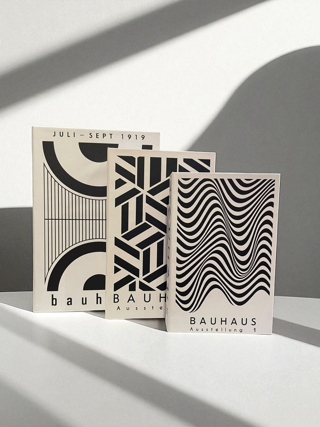 Bauhaus Illusions FAKE Set Books