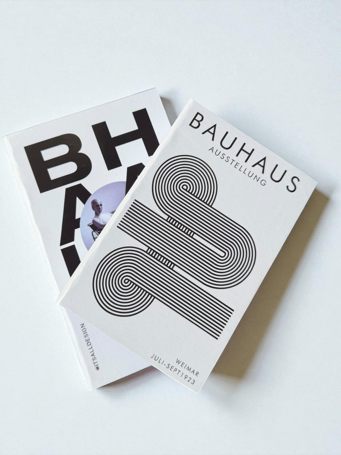 Timeless Modernism Duo Faux Books