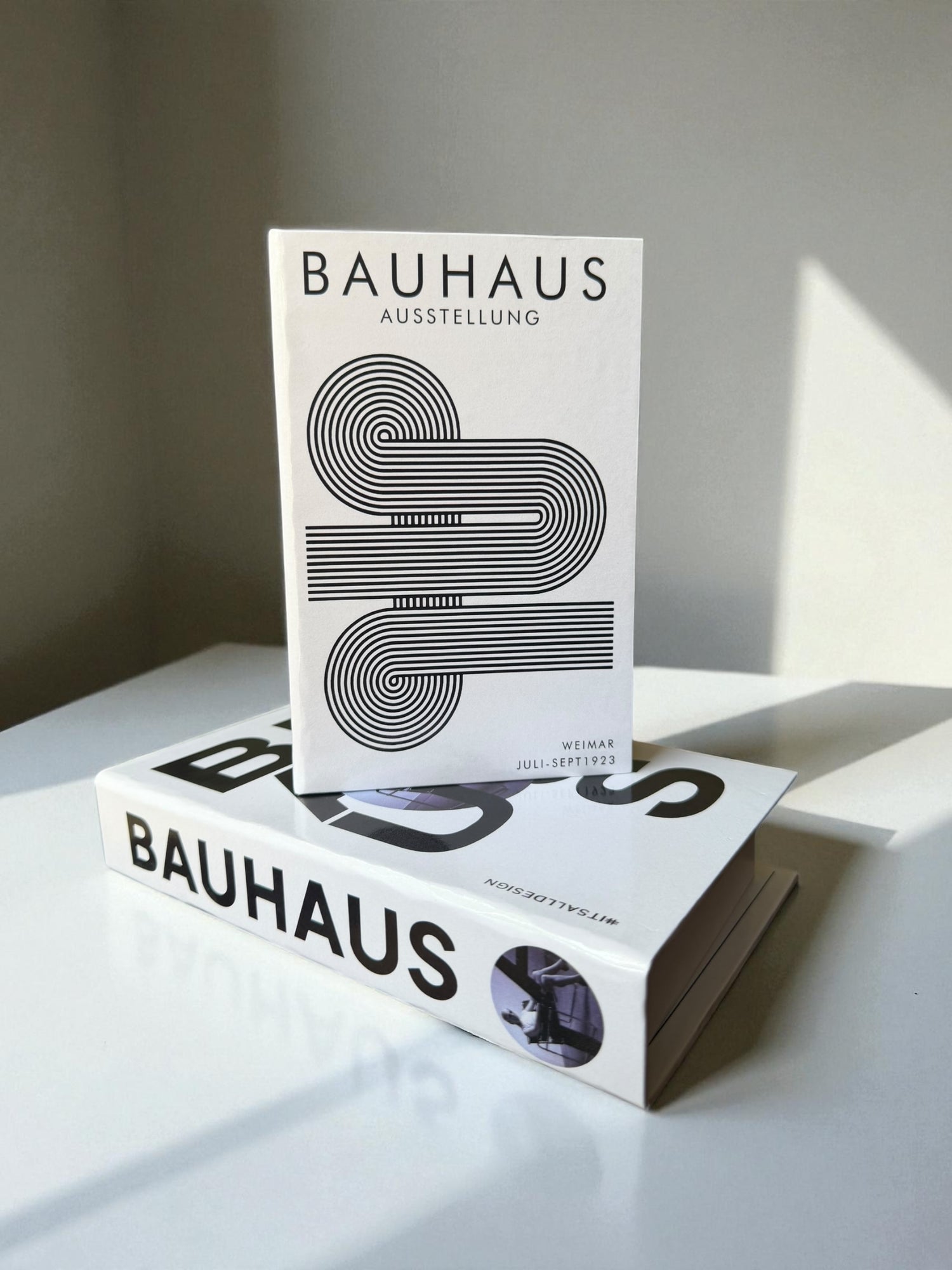 Timeless Modernism Duo Faux Books