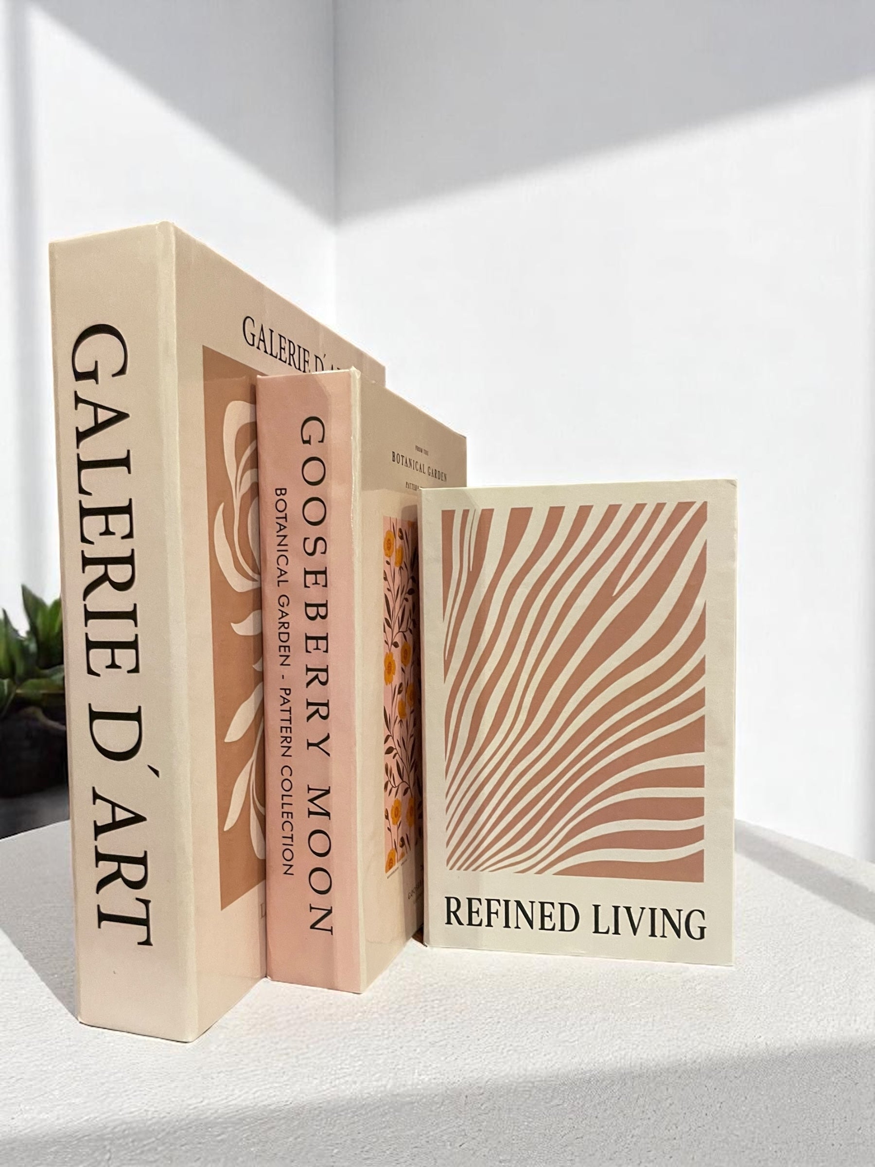 Timeless Set Faux Books