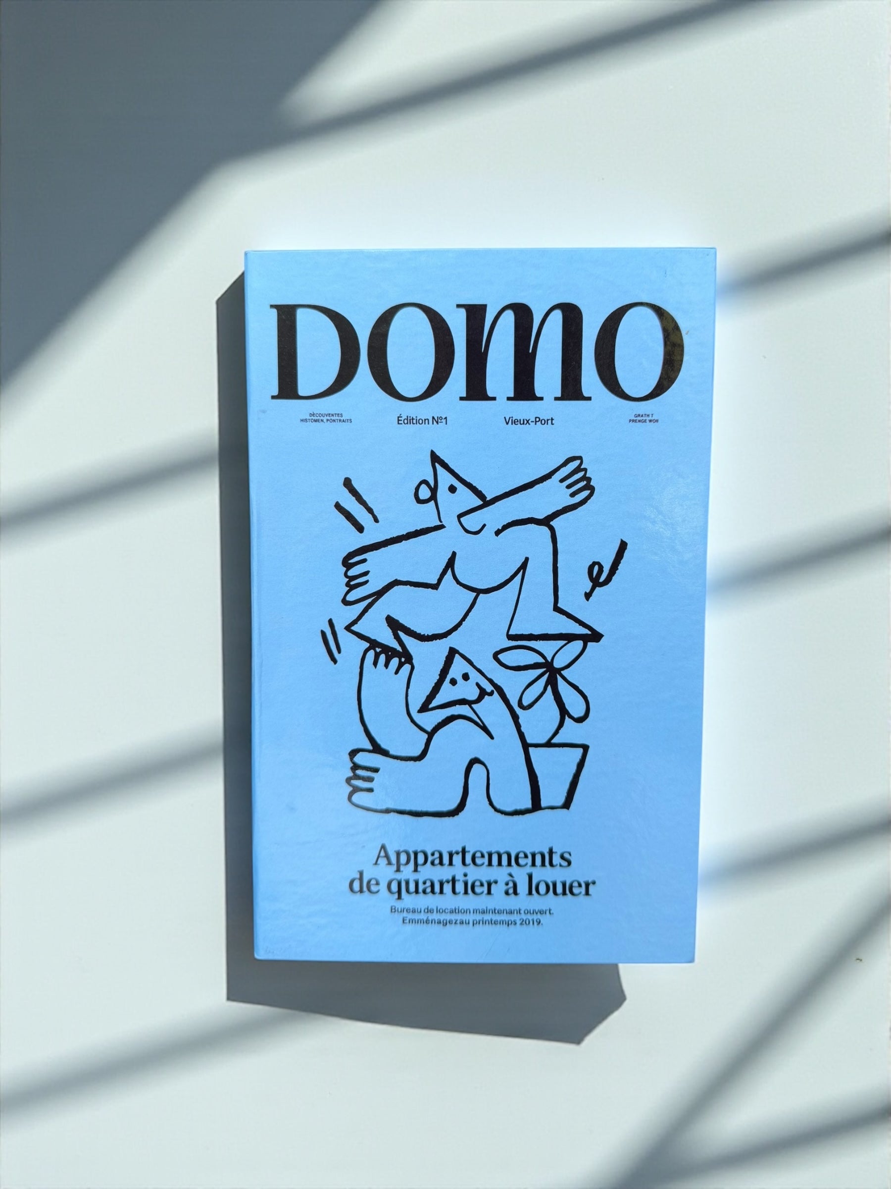 Medium Domo Decorative Fake Book