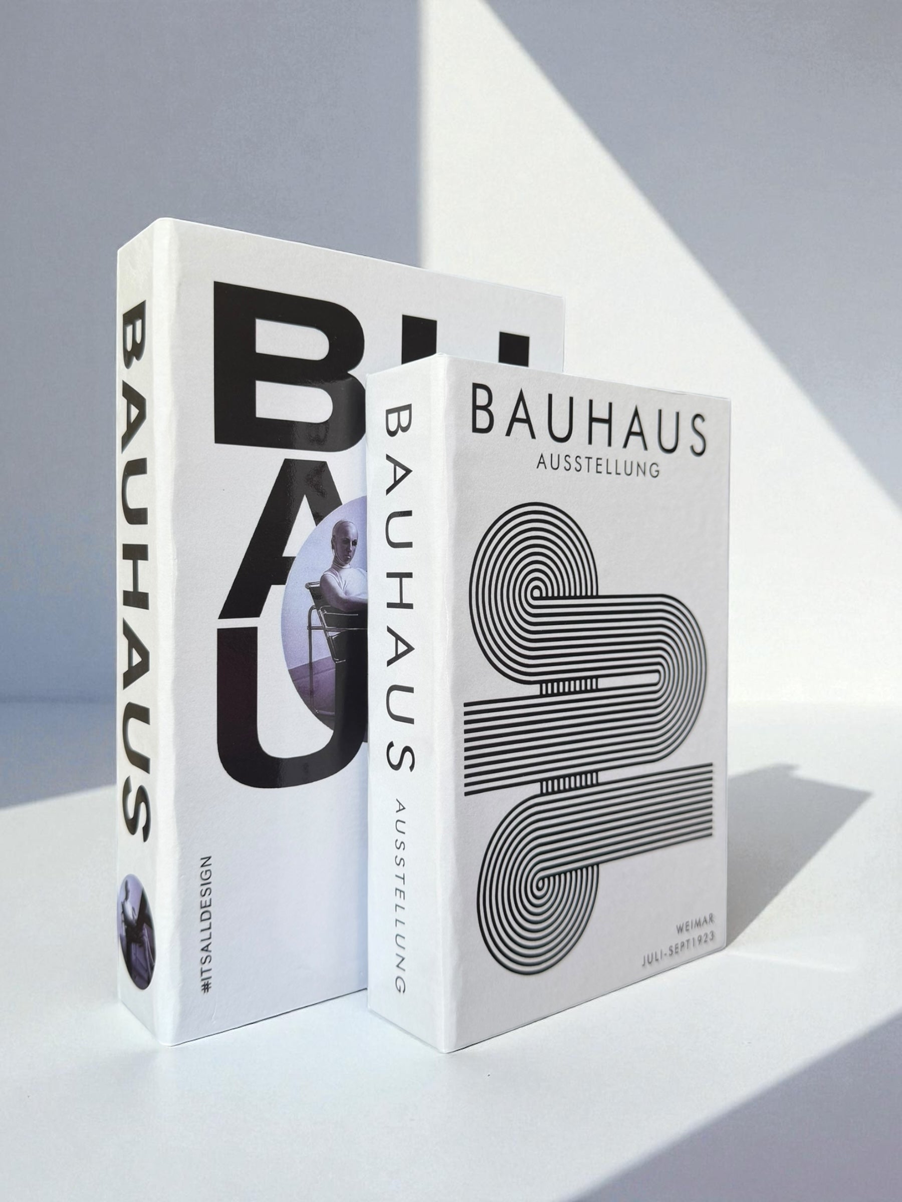 Timeless Modernism Duo Faux Books