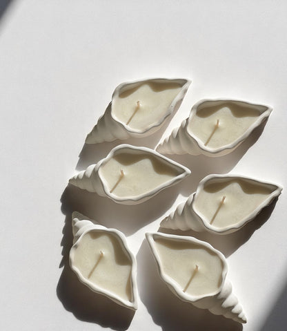 Conch Candle Vessel
