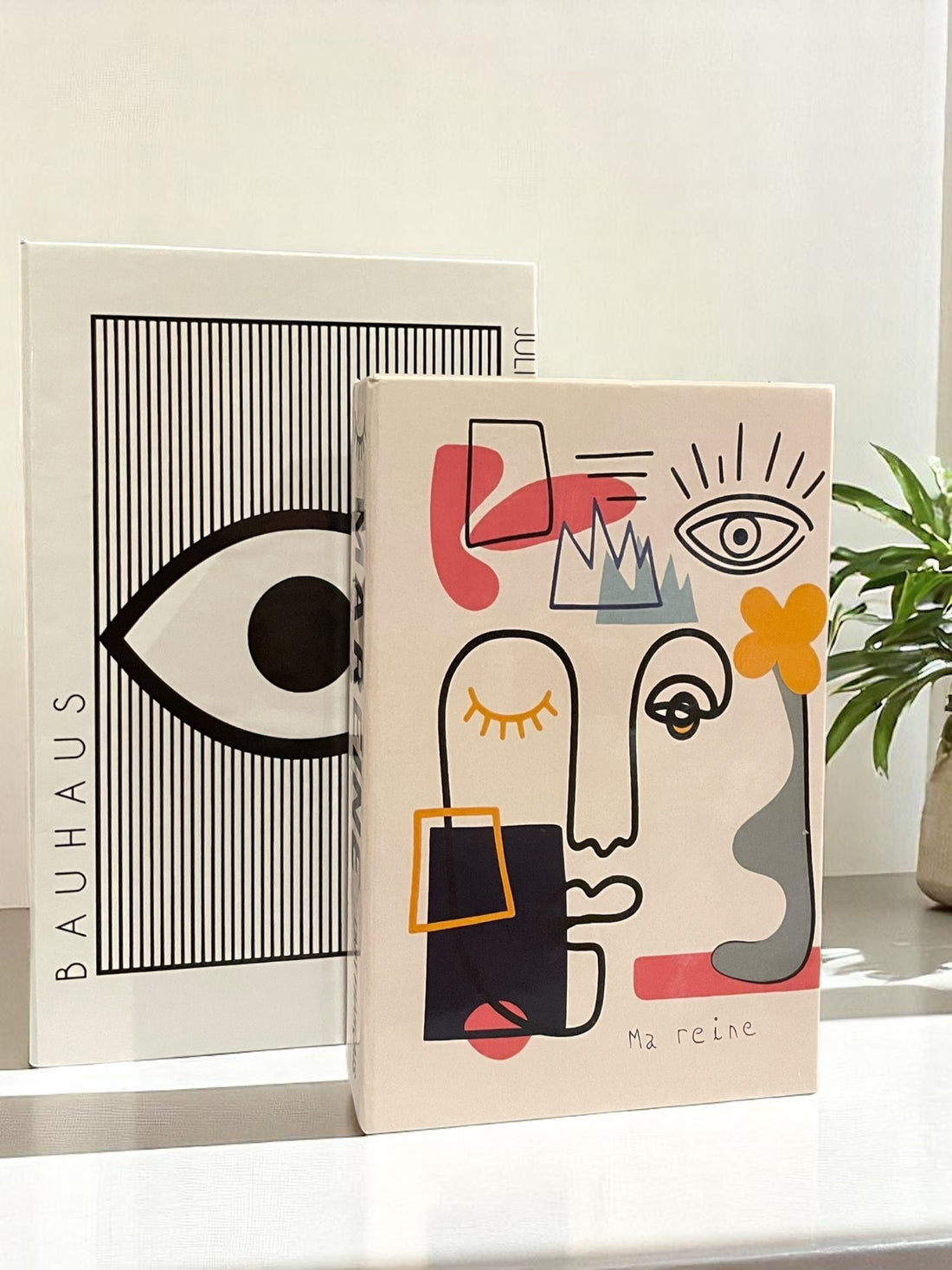 Enigmatic Gaze Faux Books