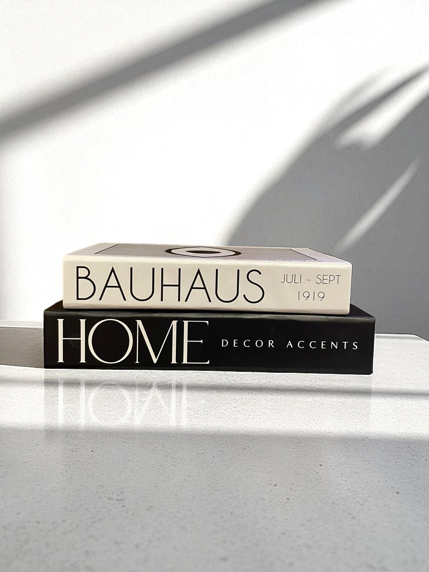 Monochrome Reflections FAKE Books