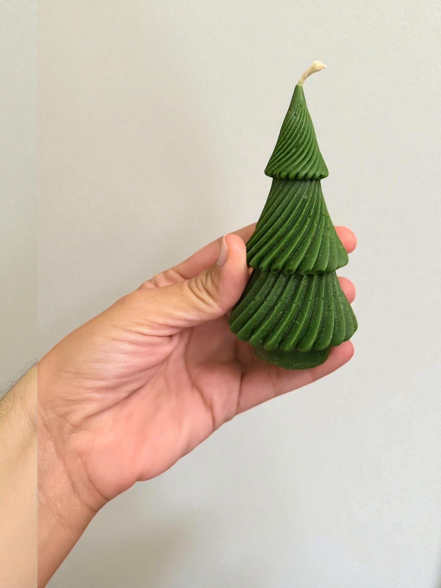 Enchanted Christmas Eve Collection