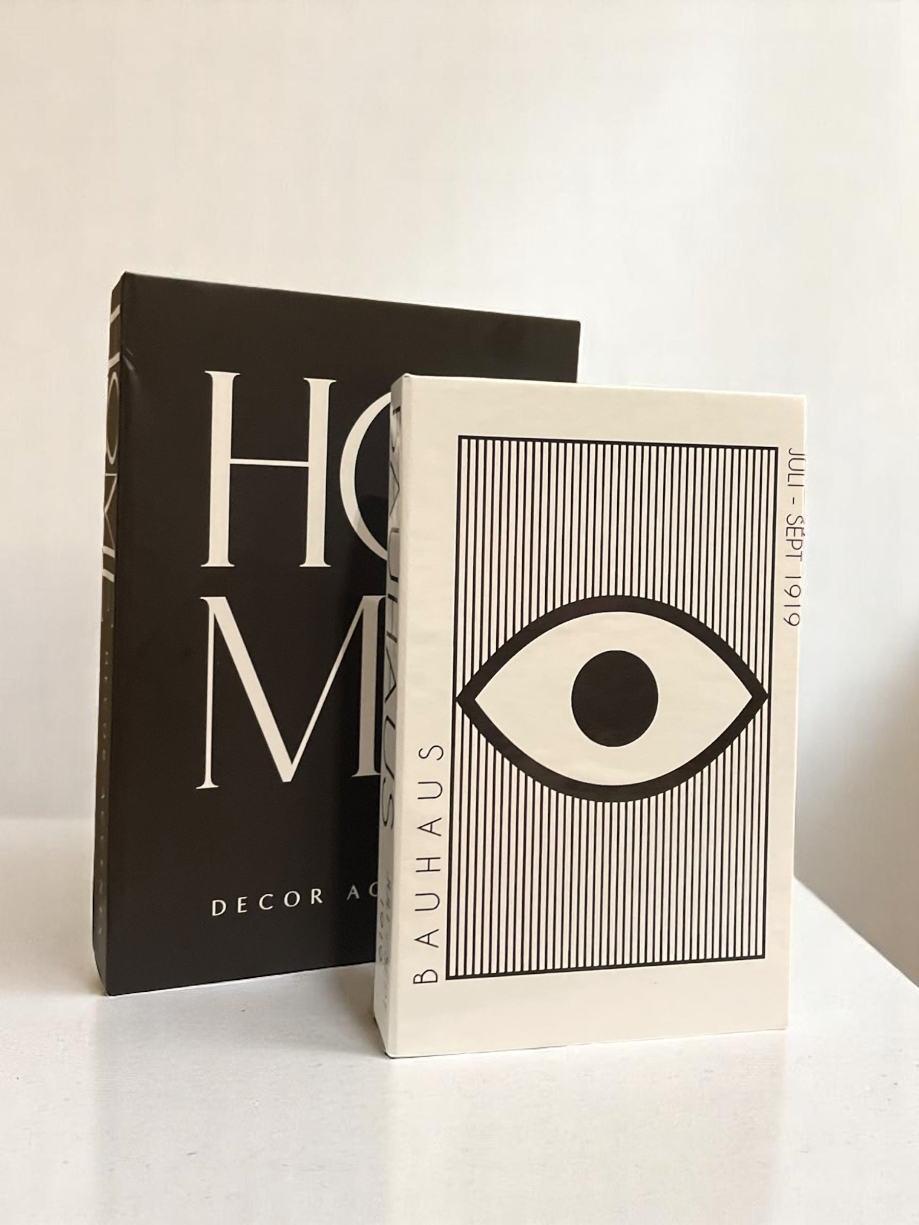 Monochrome Reflections Faux Books