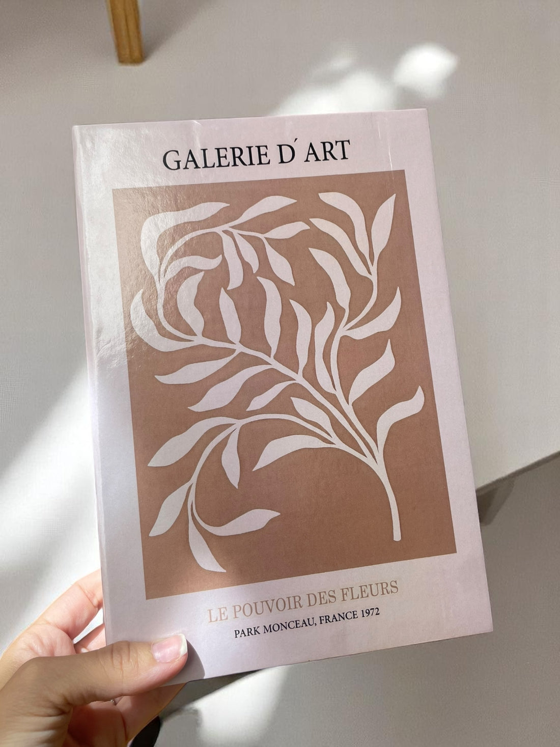 Galerie D’art Fake Book