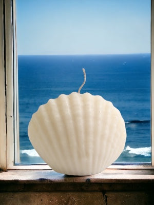 Seashell