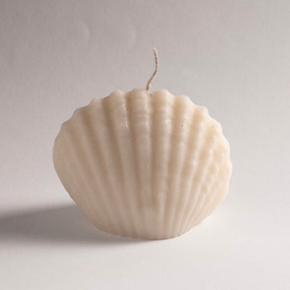 Seashell