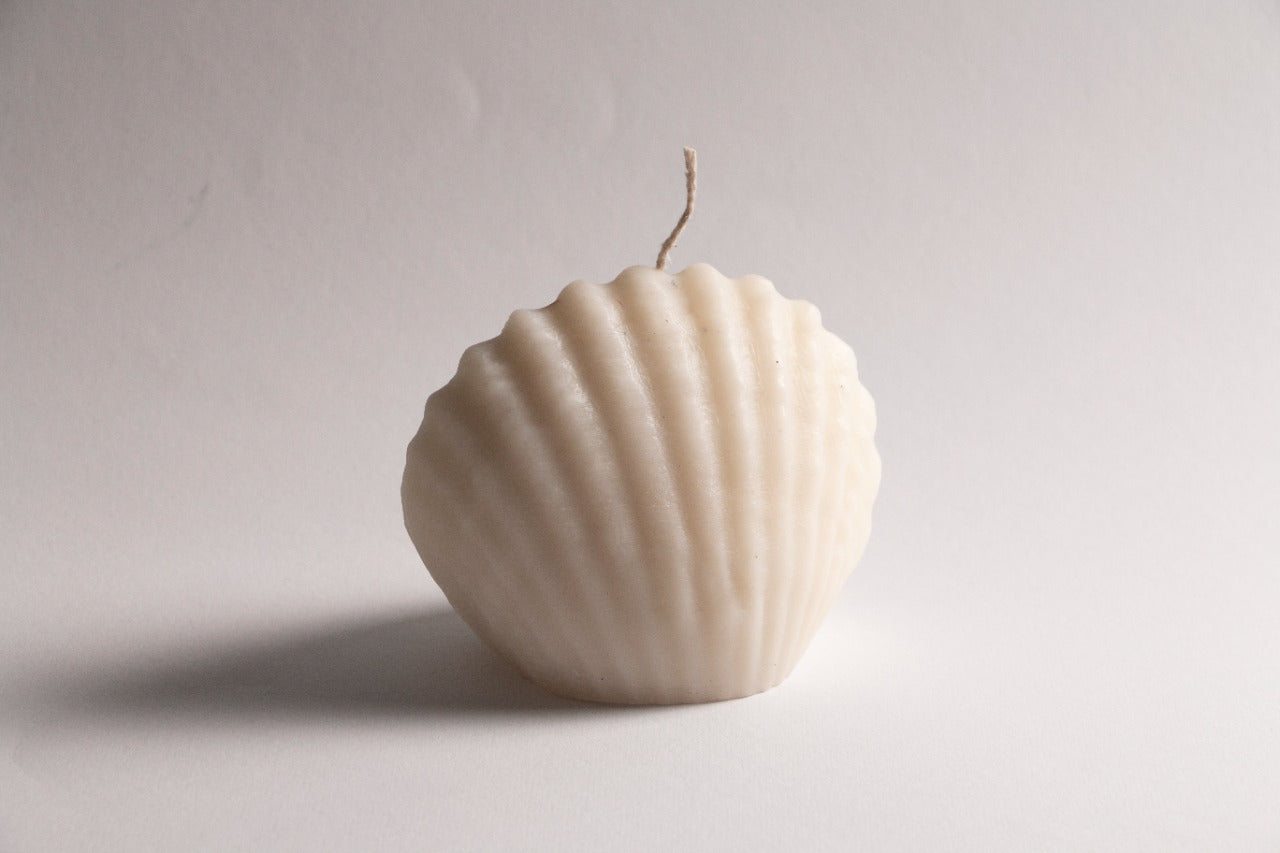 Seashell