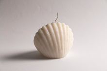 Load image into Gallery viewer, Seashell
